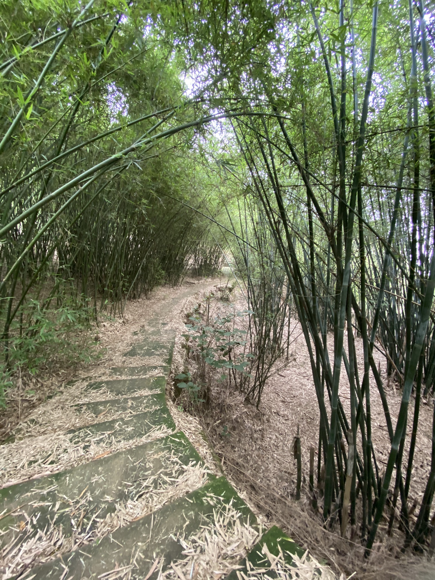 文峰塔
