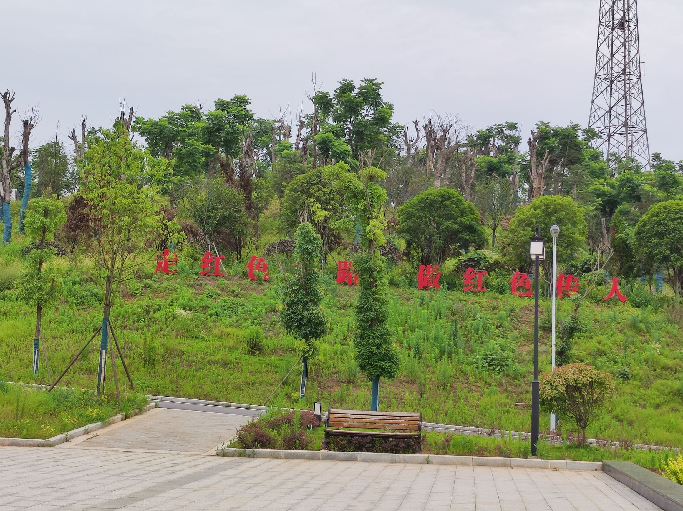 杨得志公园