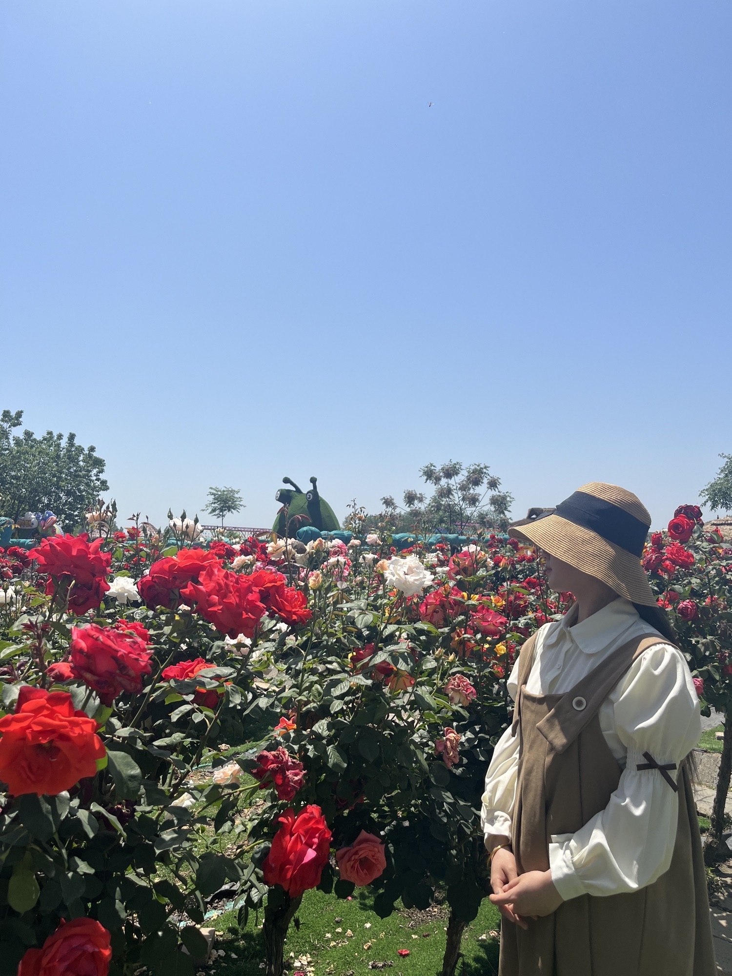 王家岗牡丹园旅行图片