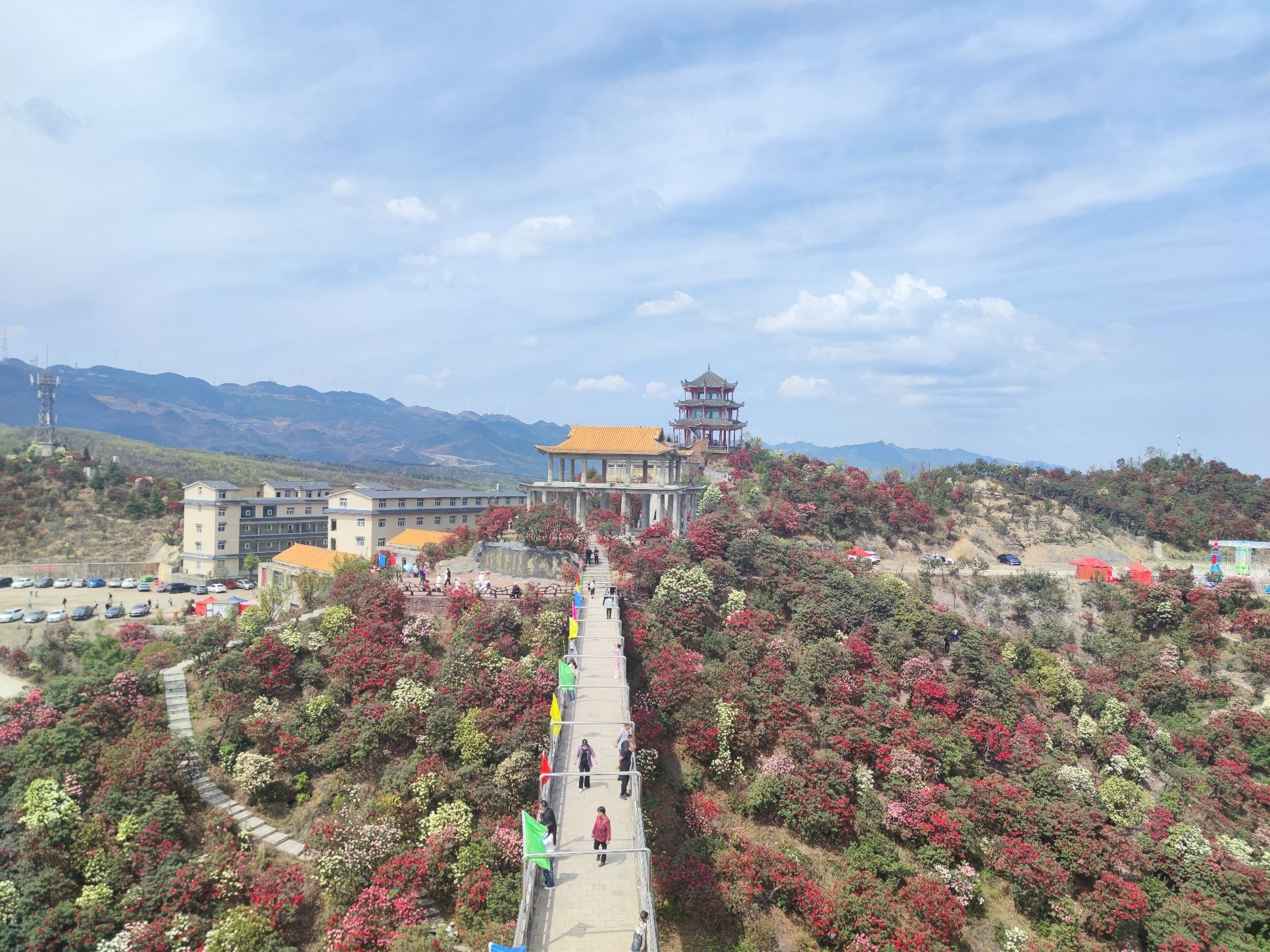 六盘水十里杜鹃花海