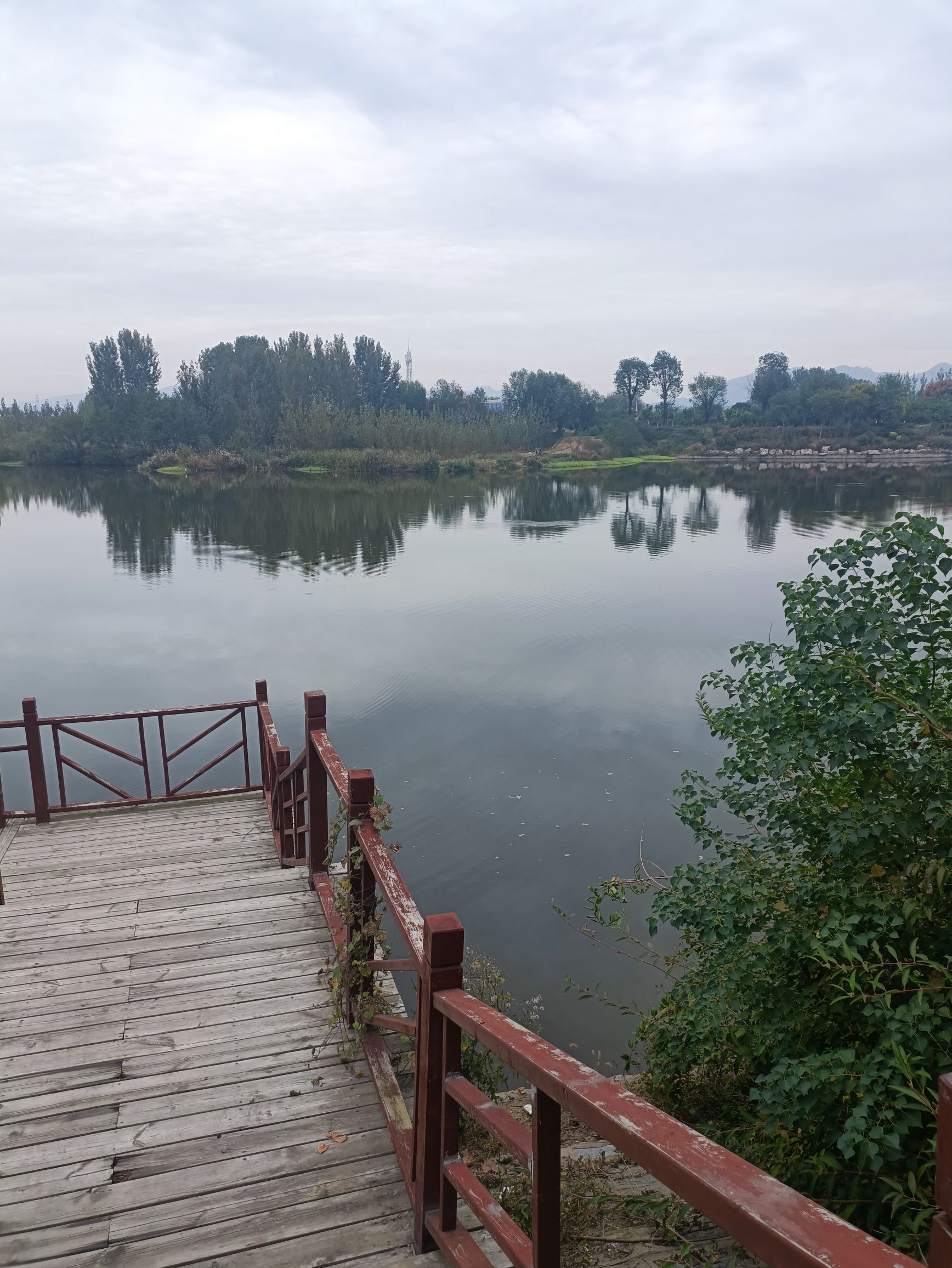 绣针河湿地公园旅行图片