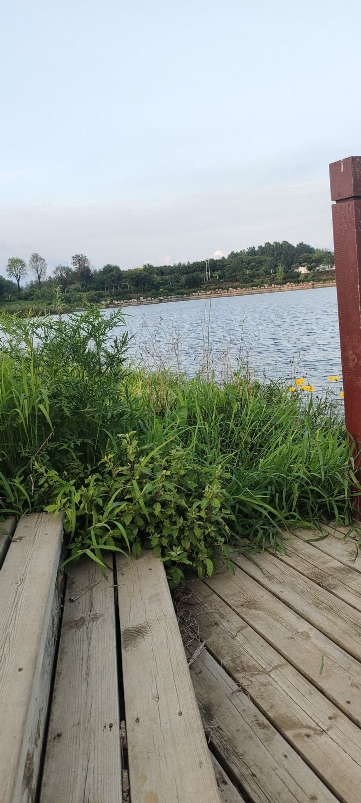 绣针河湿地公园旅行图片