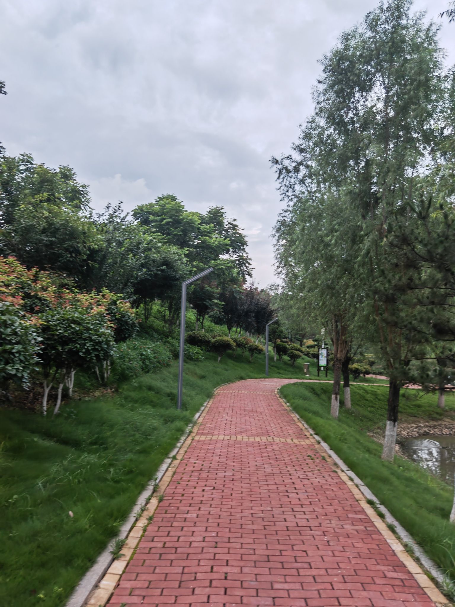 爱莲池湿地公园