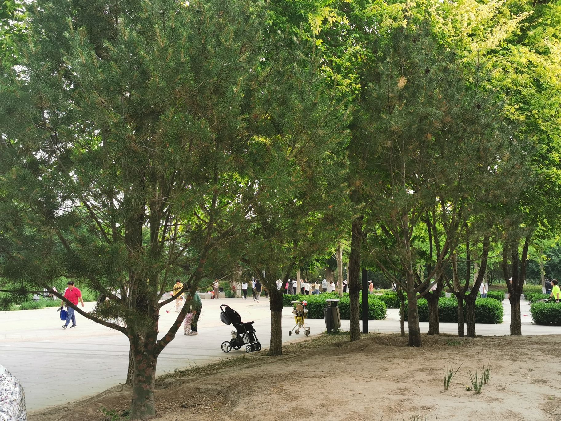 平衡车公园