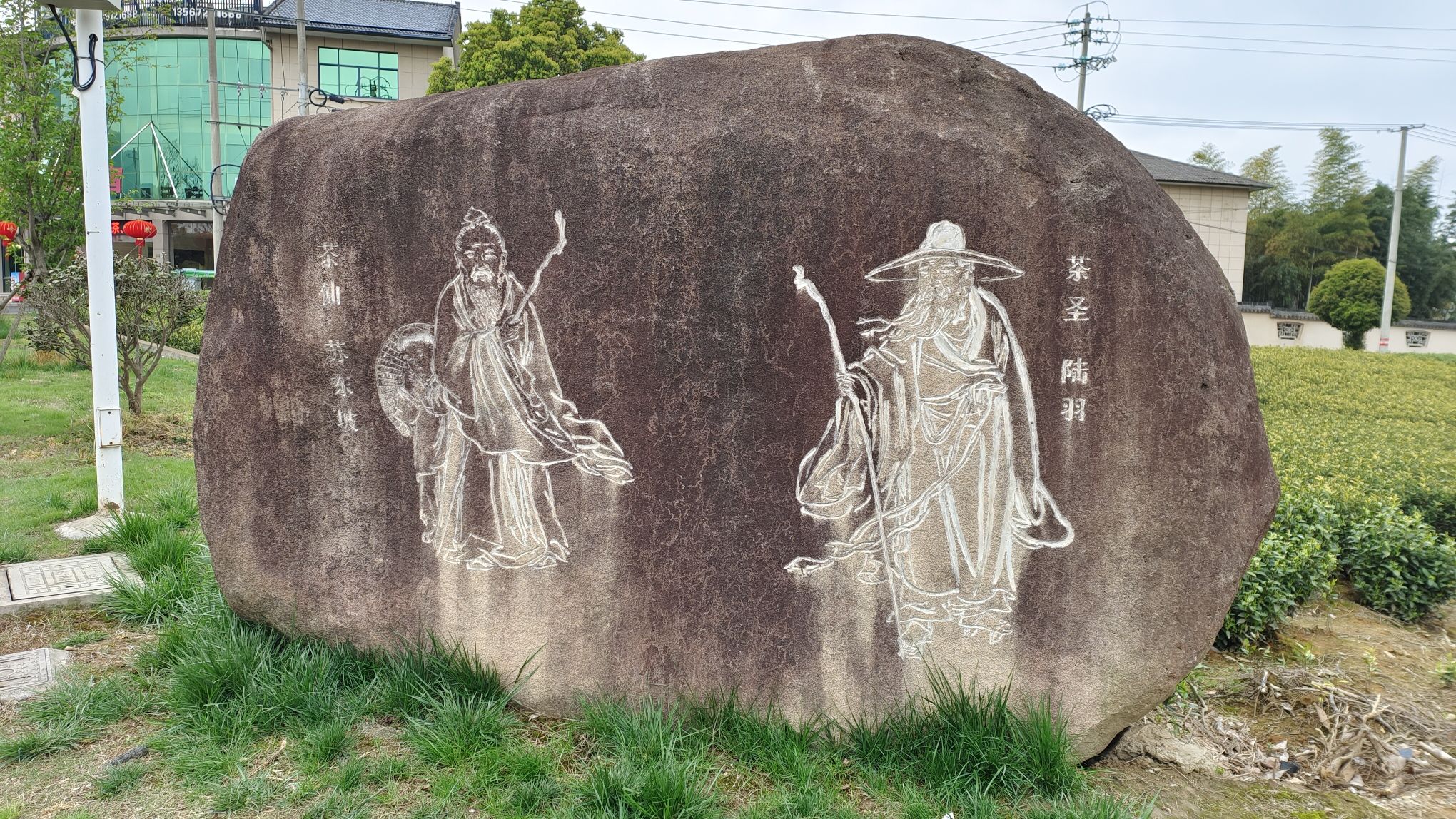 白茶原·安吉白茶观景平台旅行图片