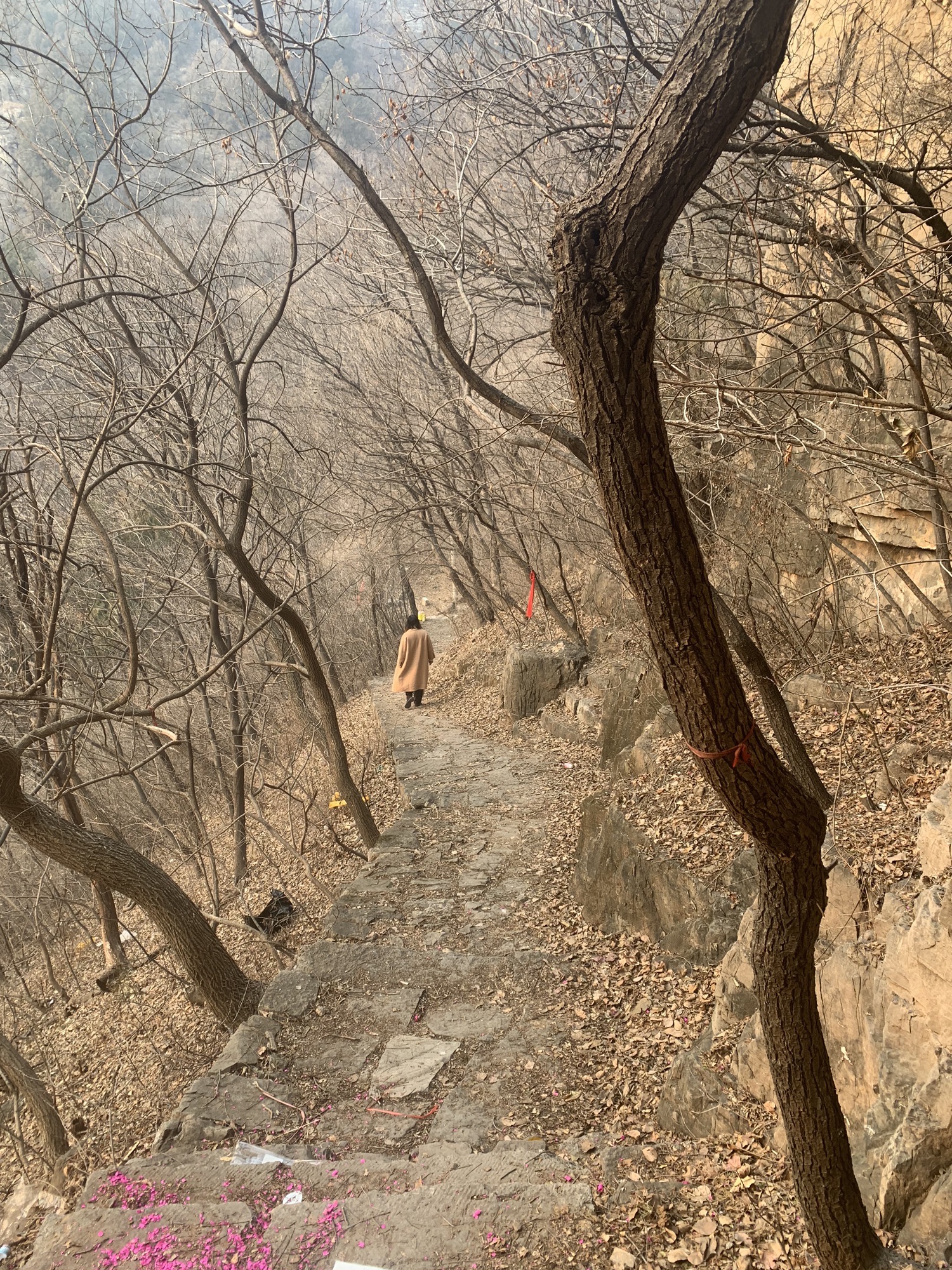灵官庙遗址旅行图片