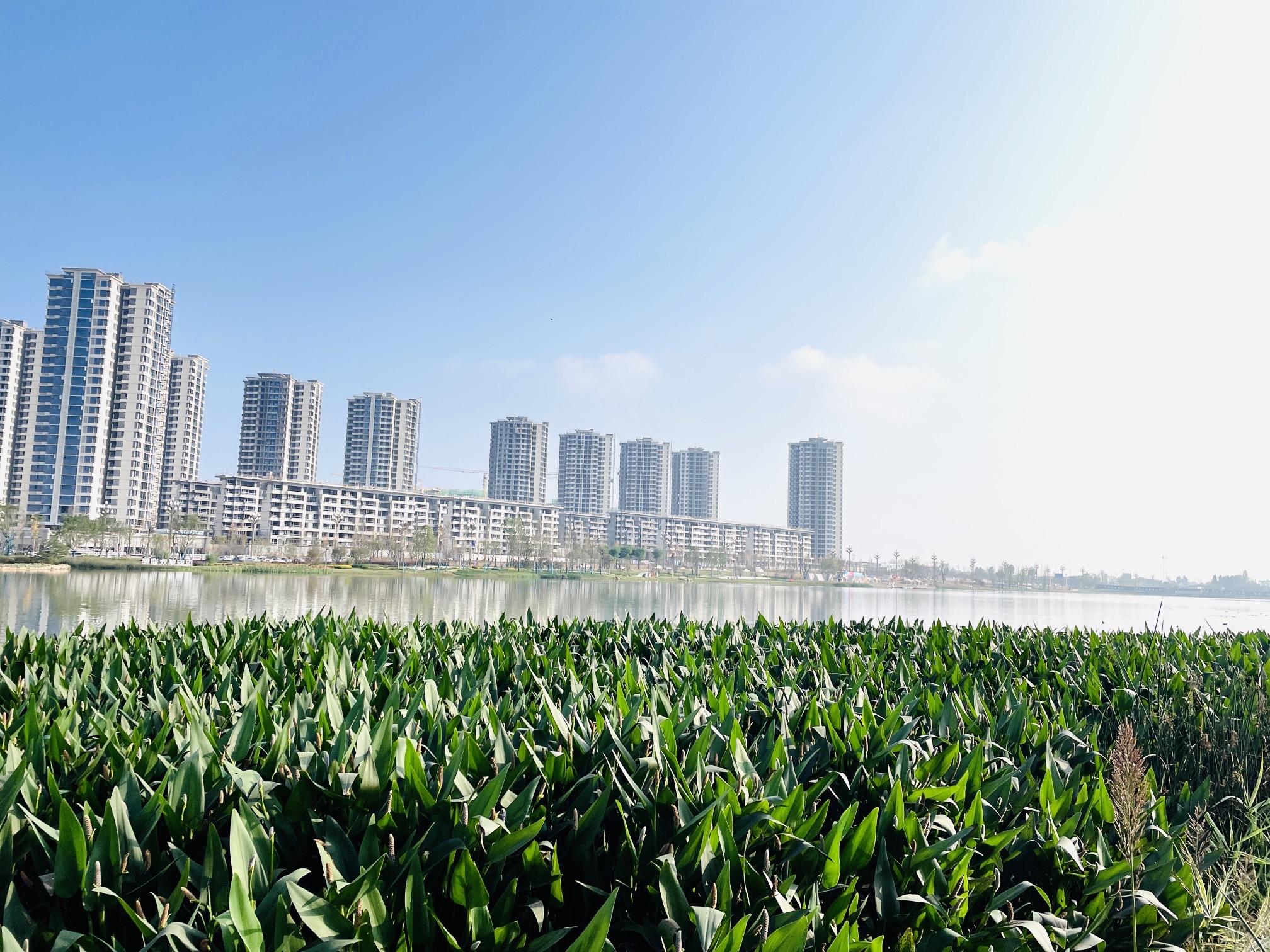 汉安湖生态湿地公园