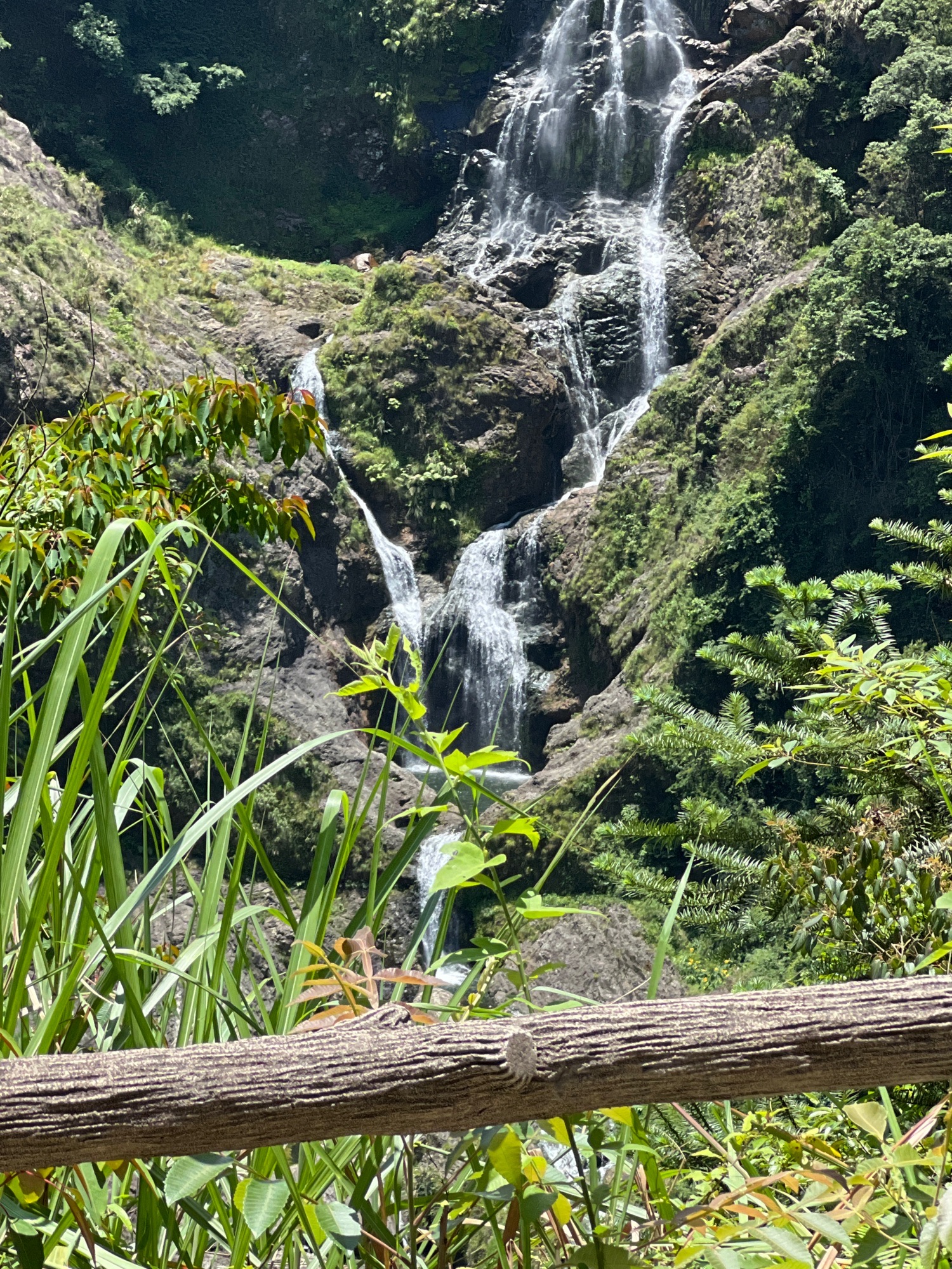 百丈龙潭公园旅行图片
