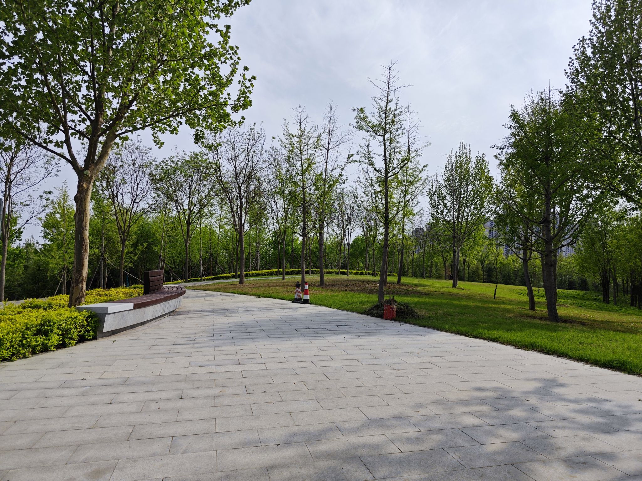 高铁公园旅行图片