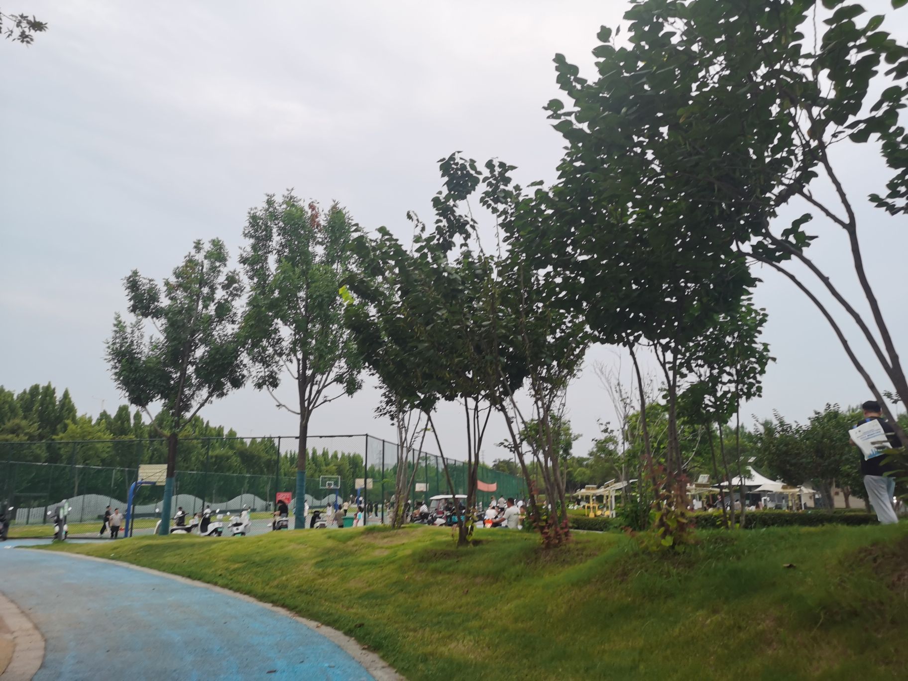 高铁公园旅行图片