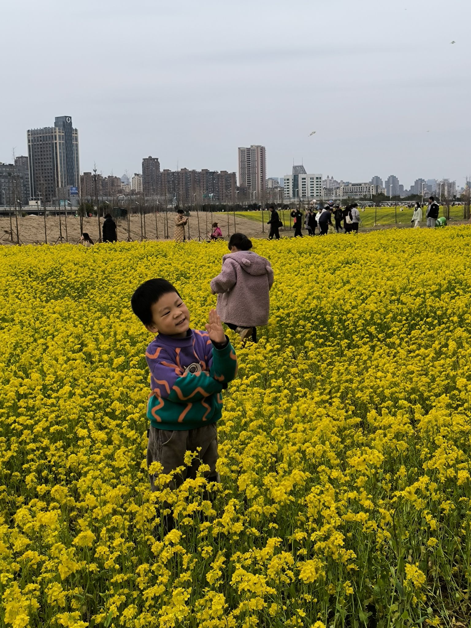 马兰圩湿地公园旅行图片