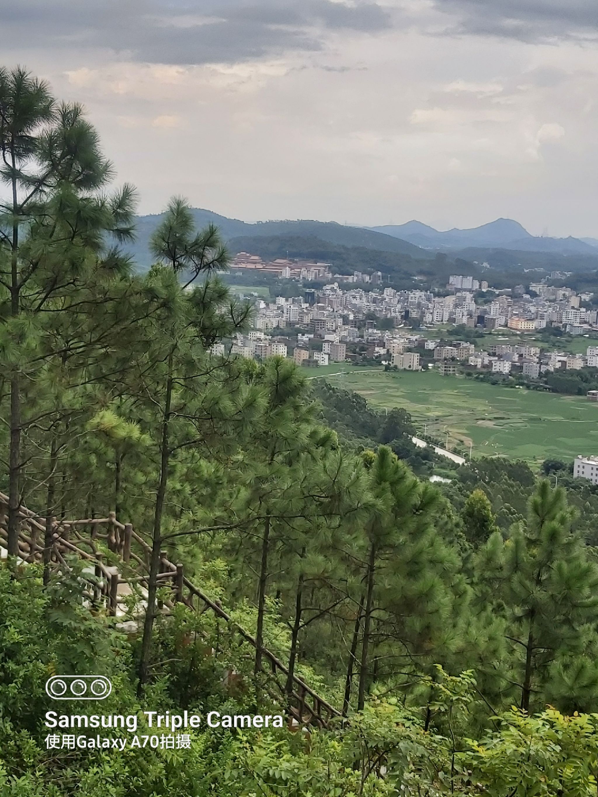 石龙山森林公园