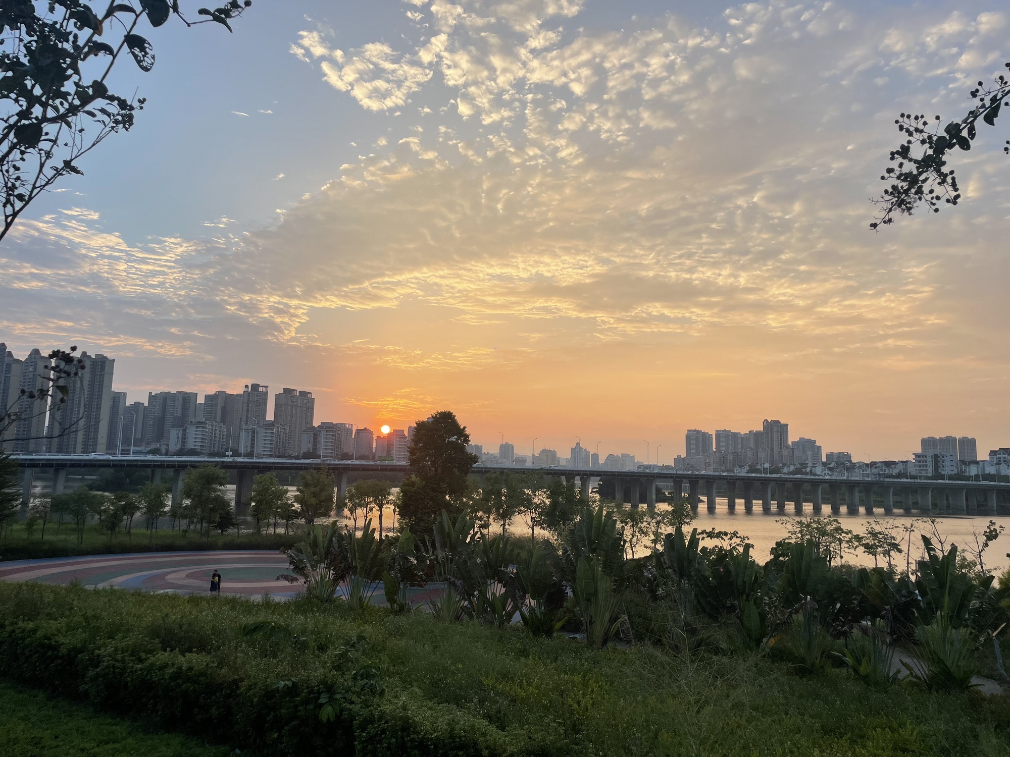 花香沁园公园旅行图片