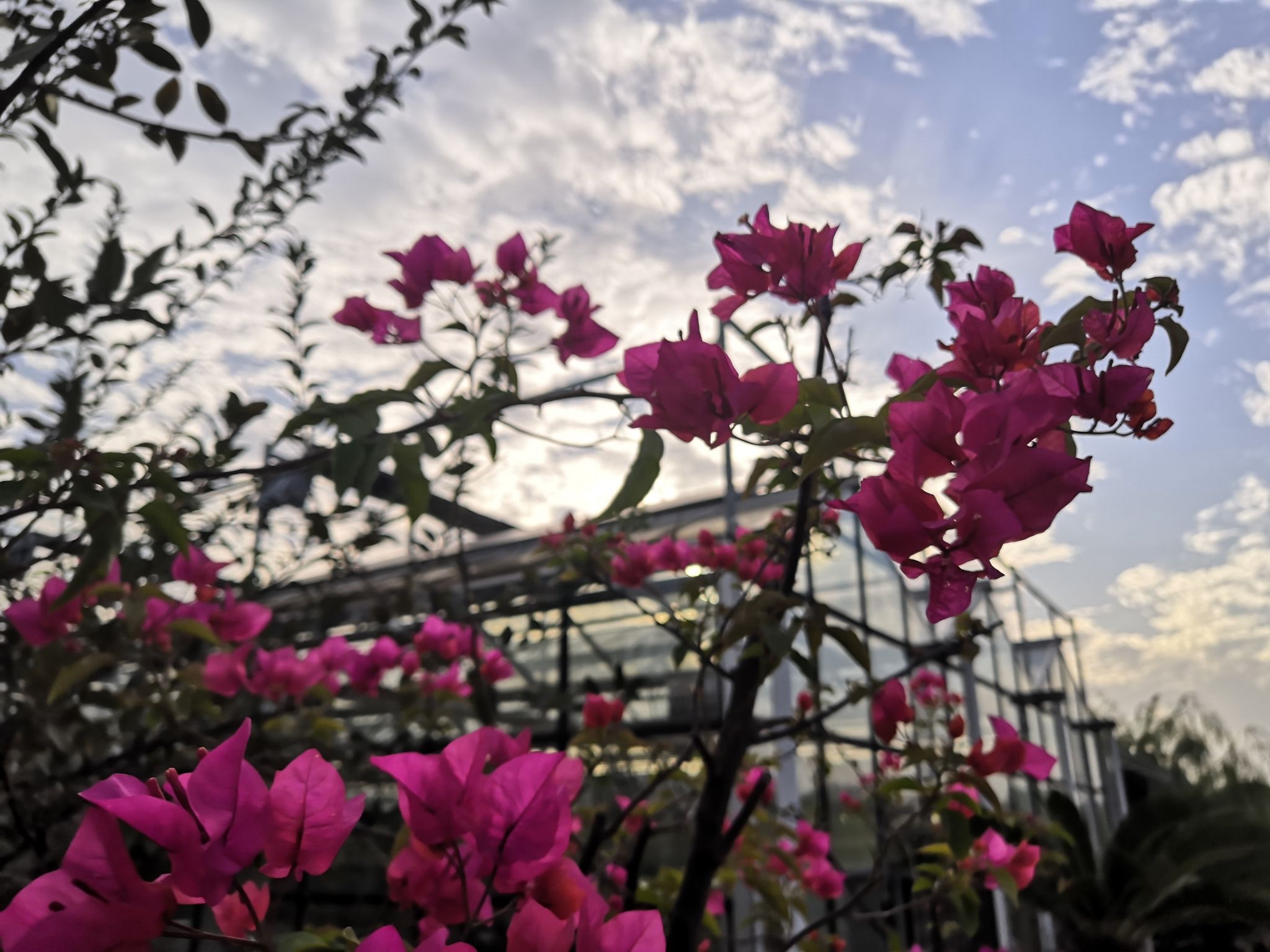 蕙芷园