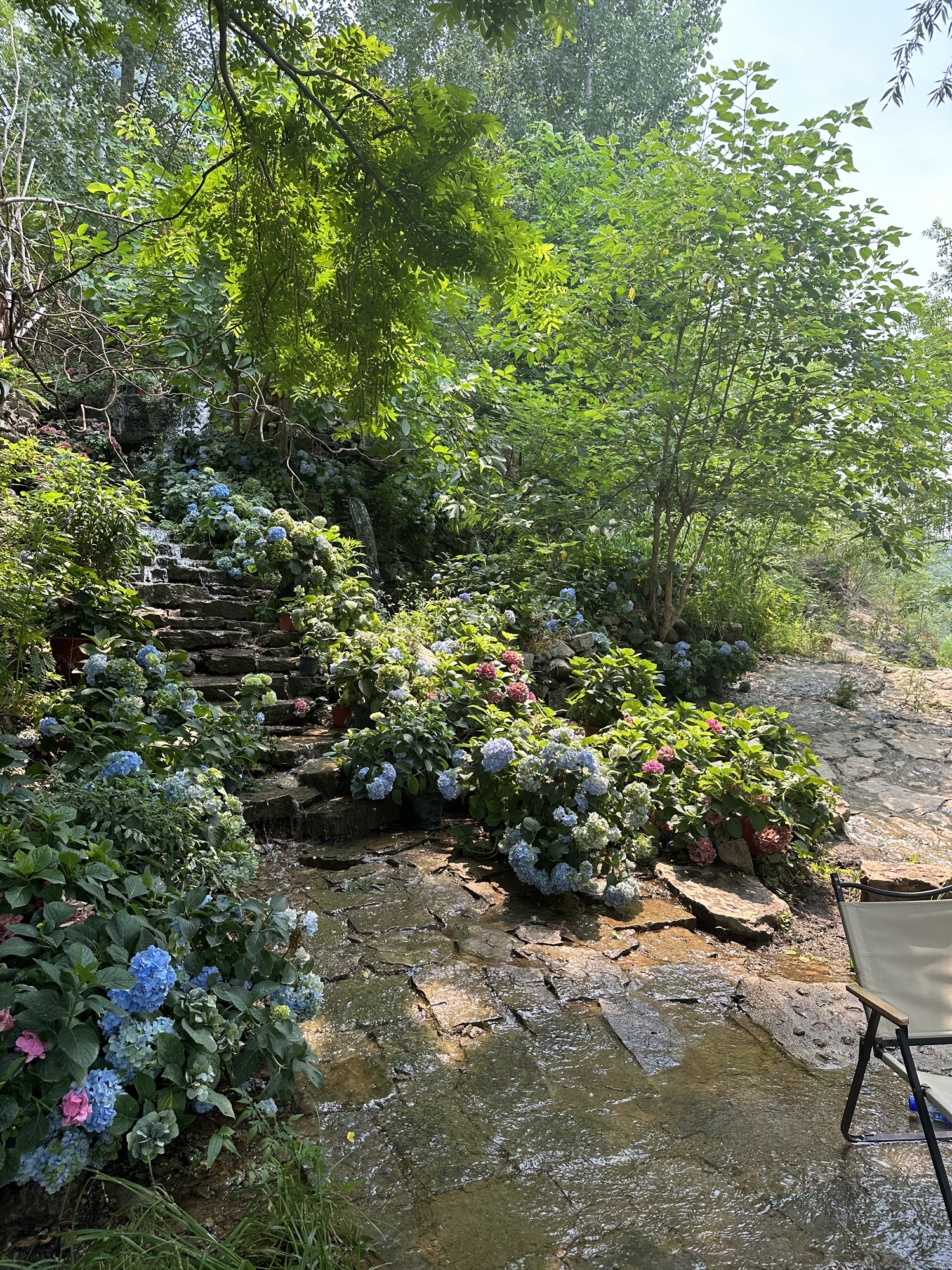 利山涧旅游度假区旅行图片