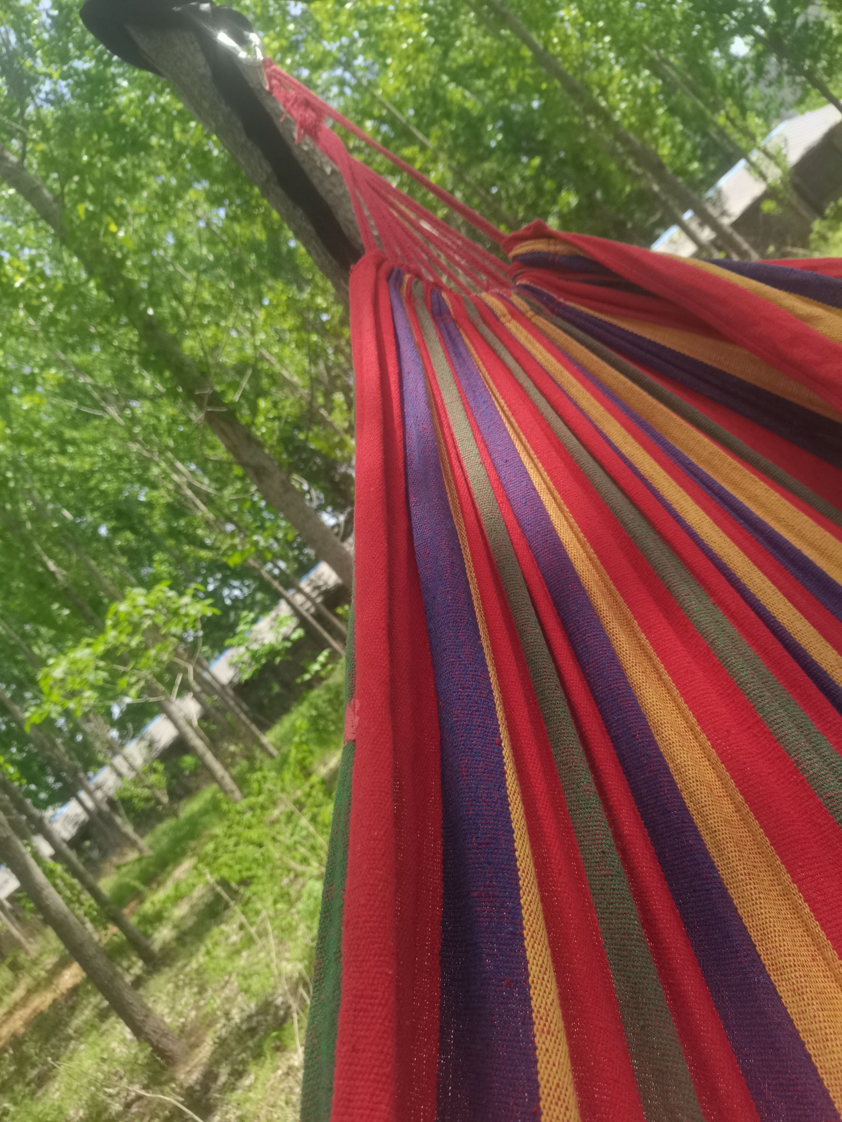 利山涧旅游度假区旅行图片