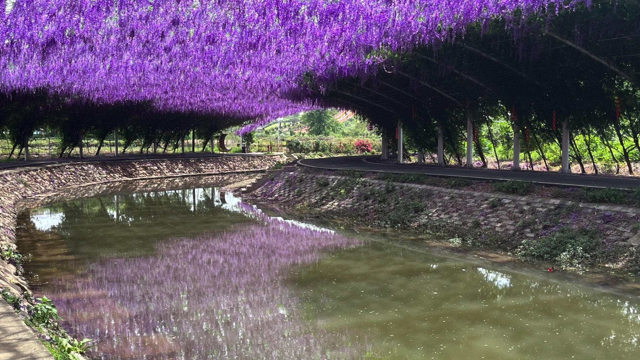 庐山花溪谷旅行图片