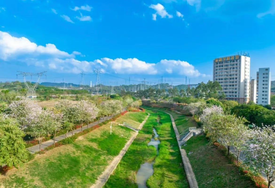 鹅颈水湿地公园旅行图片