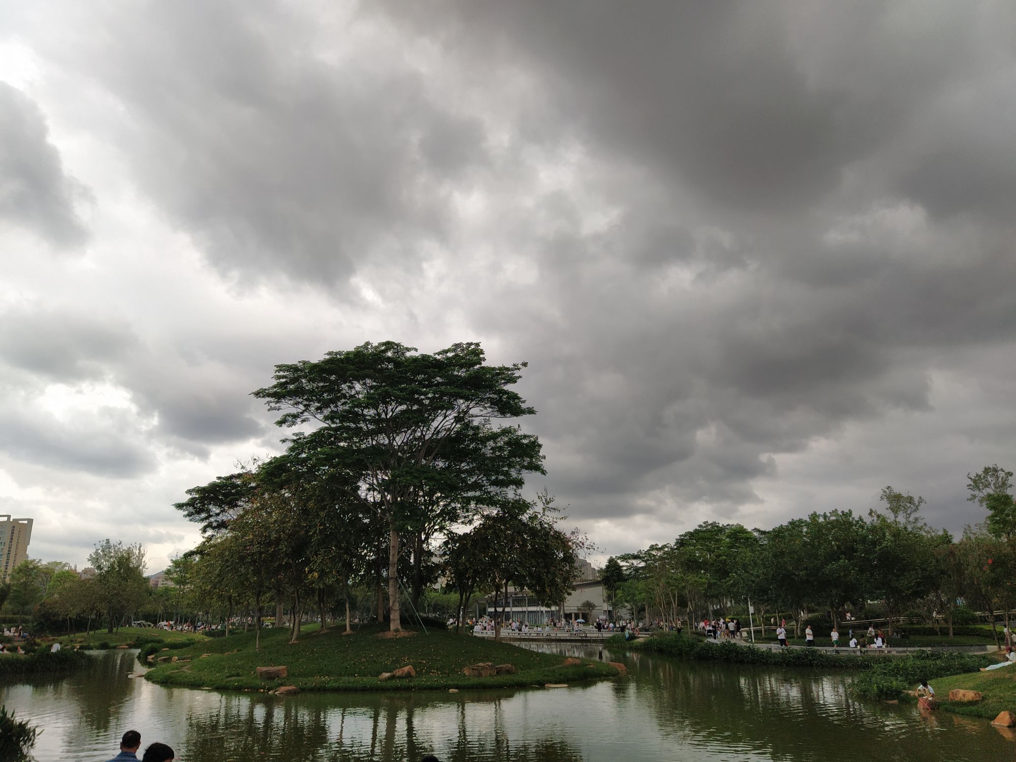 鹅颈水湿地公园旅行图片
