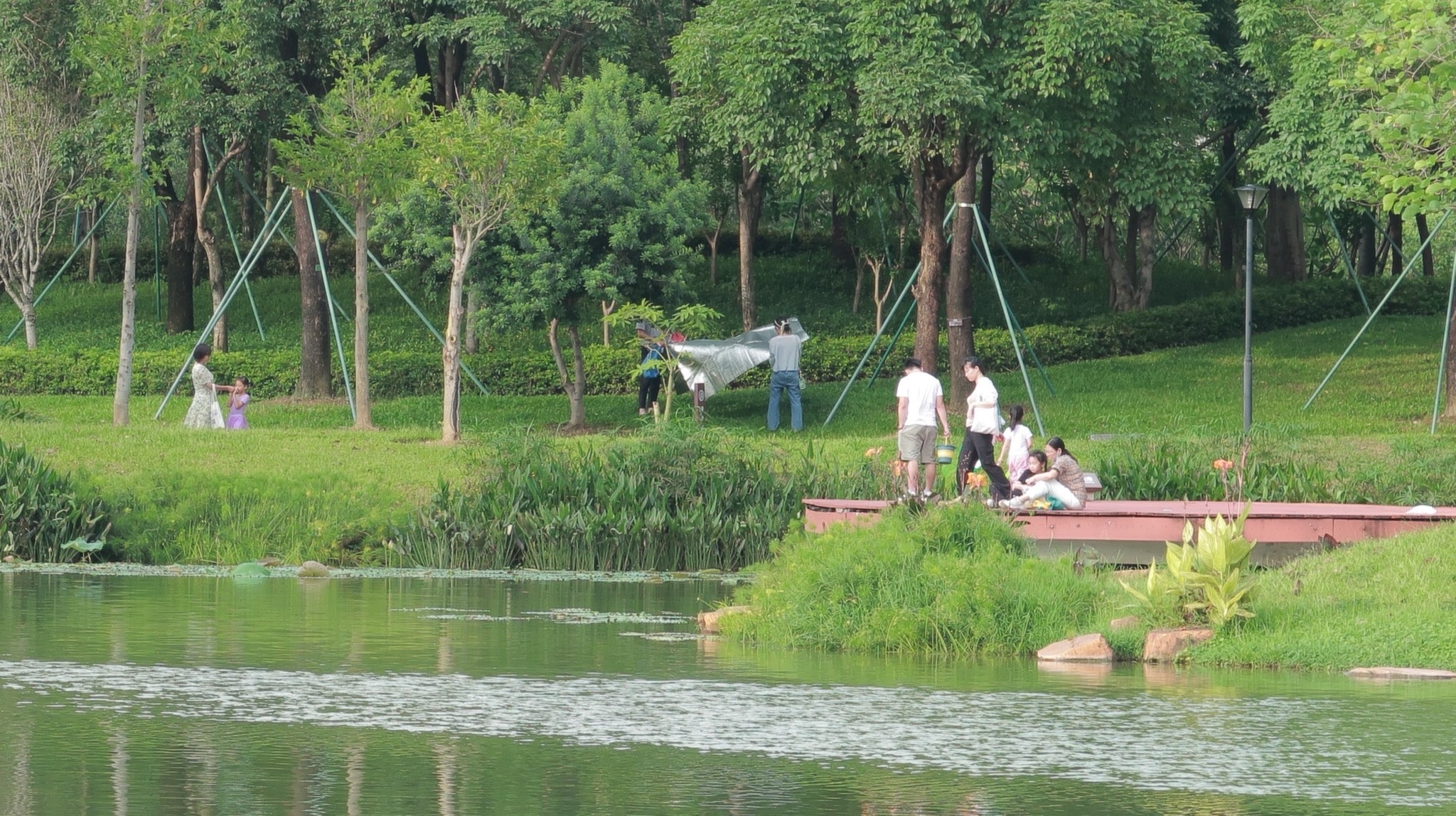 鹅颈水湿地公园旅行图片