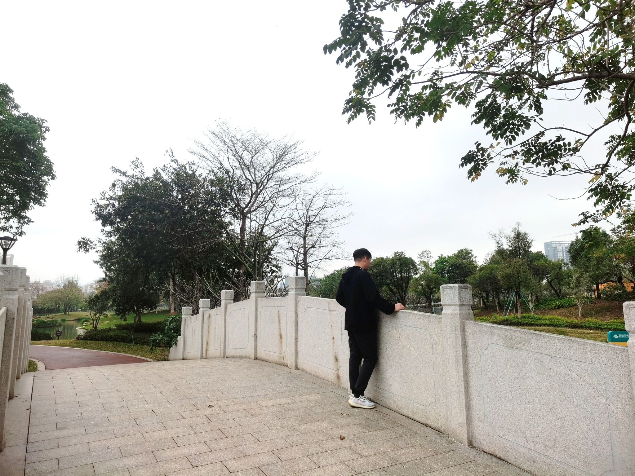 鹅颈水湿地公园旅行图片