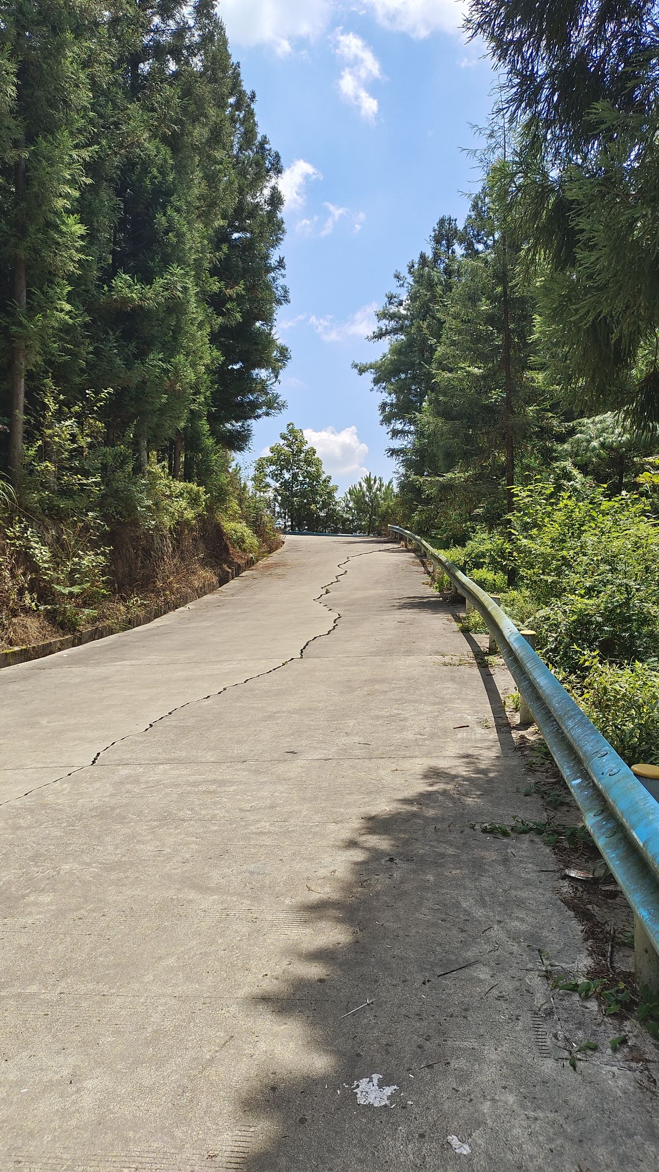 盘关镇草湿地旅行图片