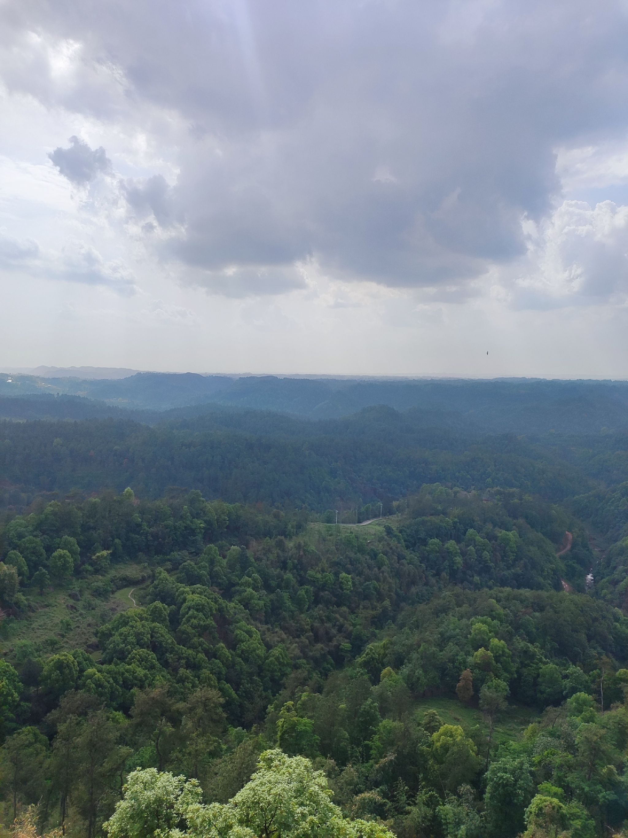 云台山森林公园旅行图片