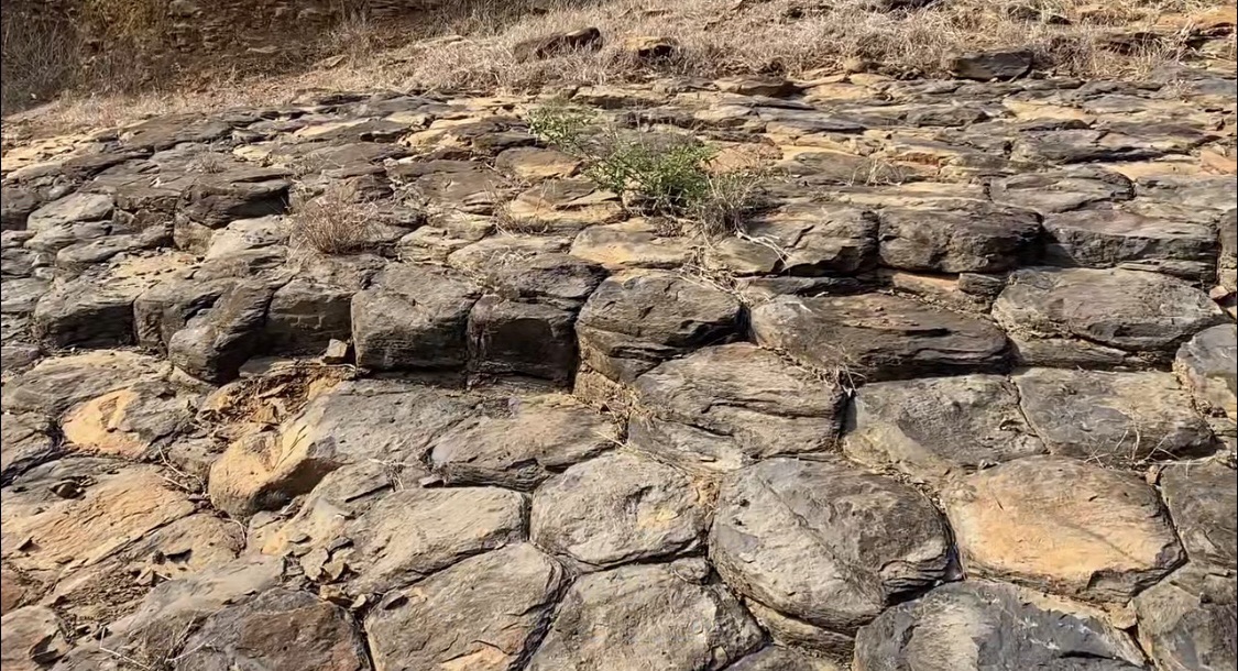 林埭月亮湾古火山地质公园旅行图片