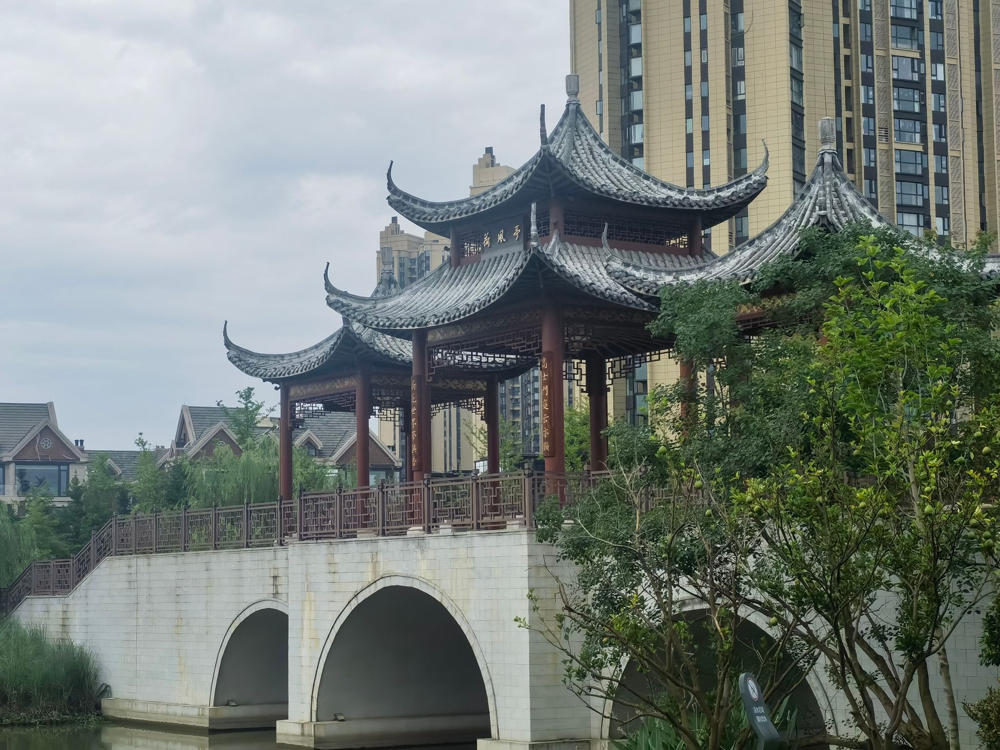 荷花公园