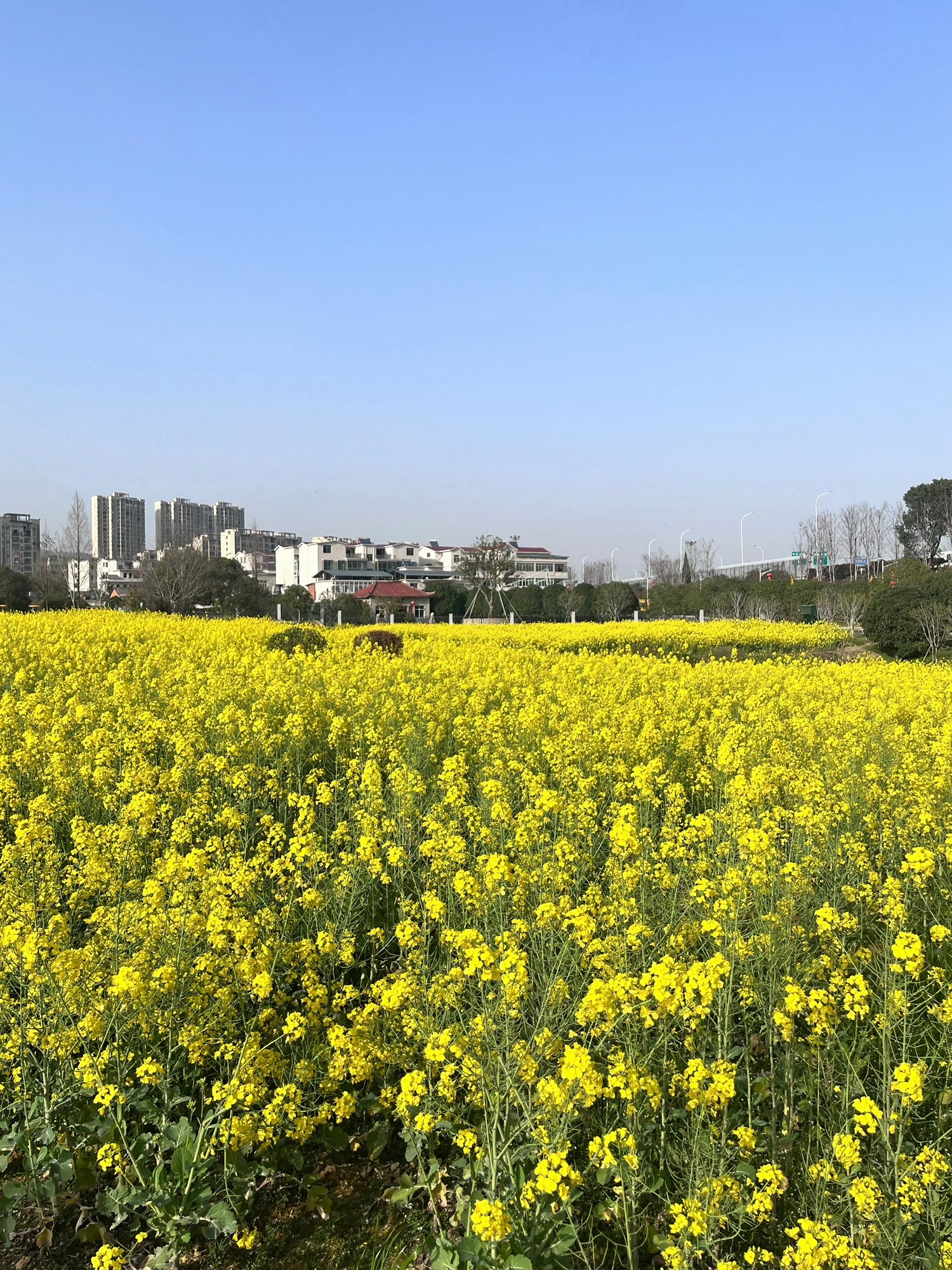 磨盘山森林公园旅行图片