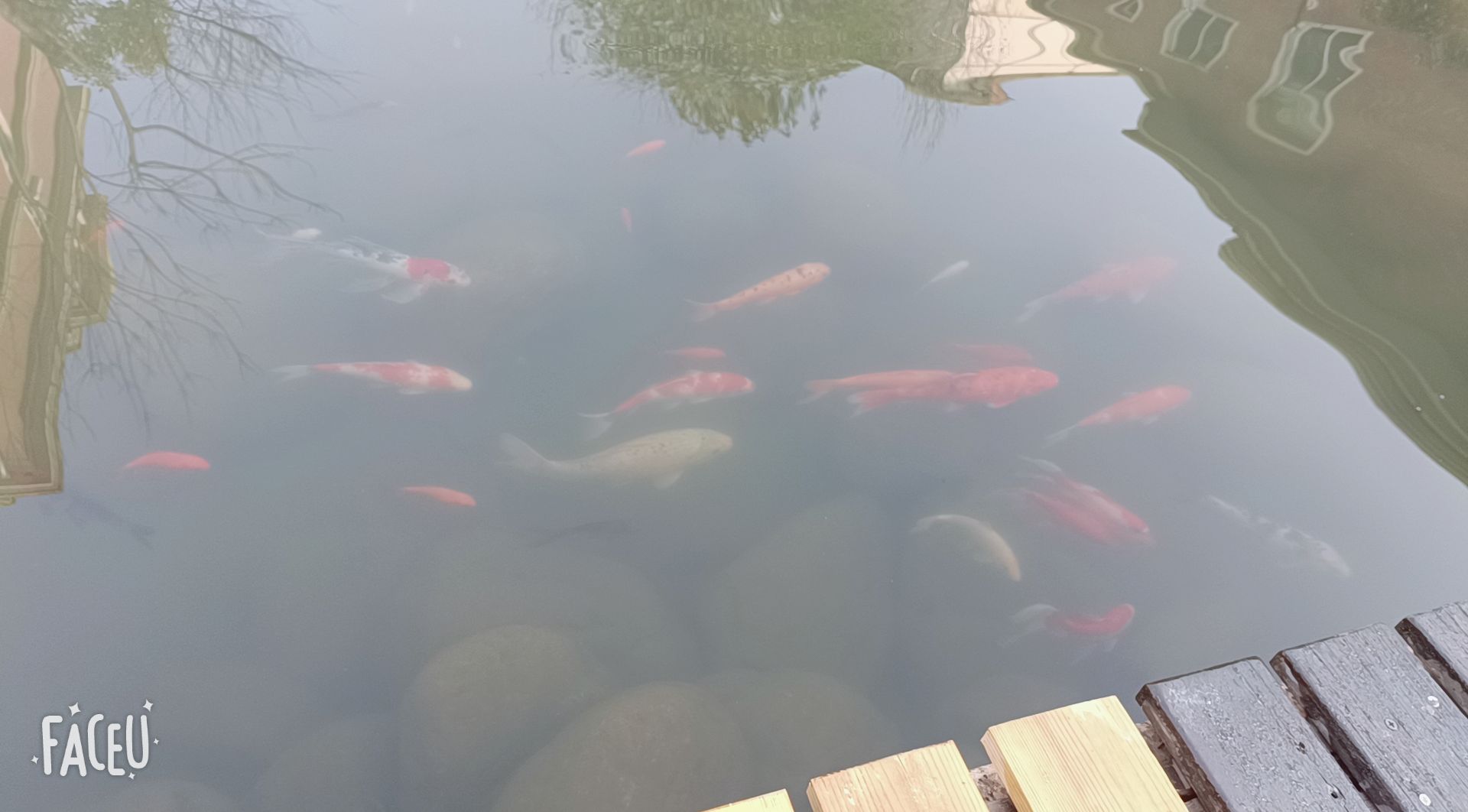 磨盘山森林公园旅行图片