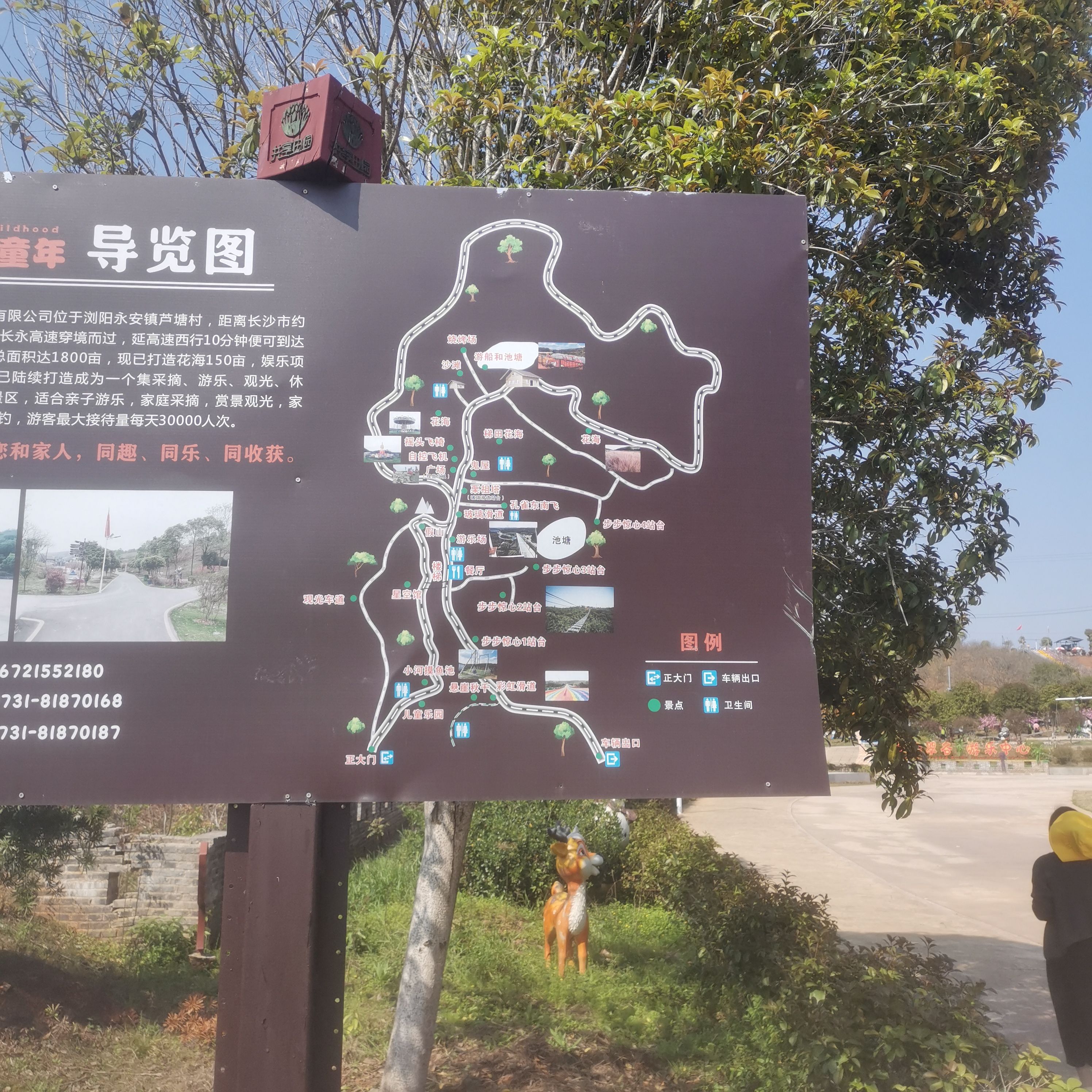 遇见童年景区旅行图片
