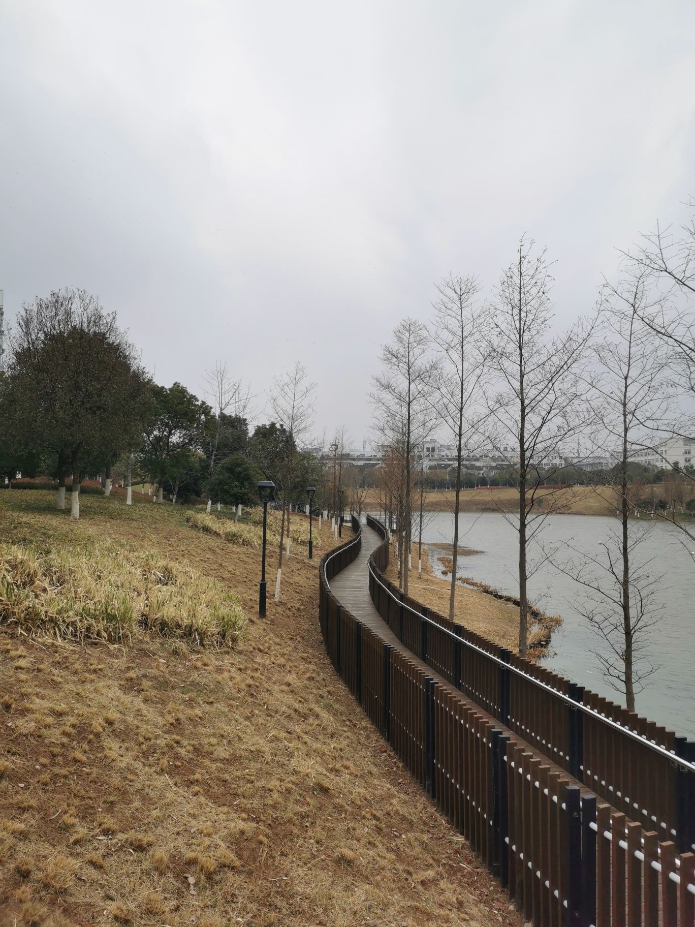 稠江公园旅行图片