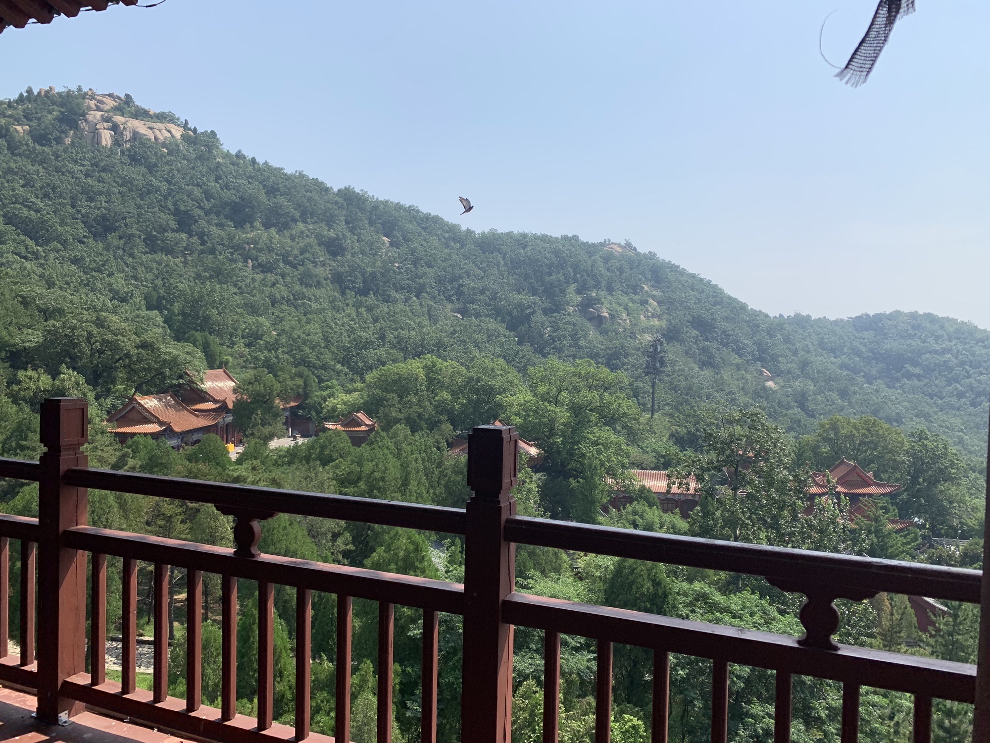 新泰新甫山景区旅行图片
