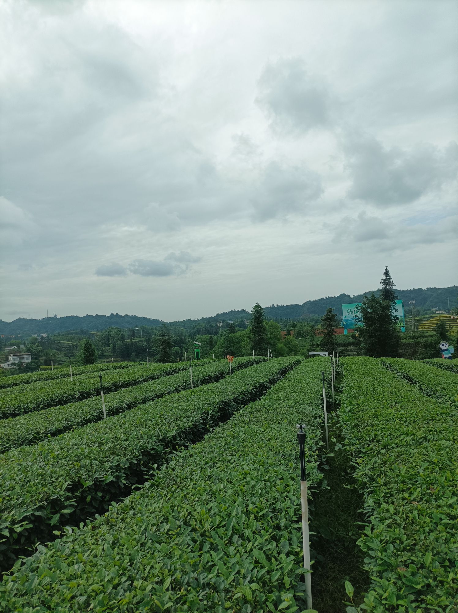 梅岭茶山公园