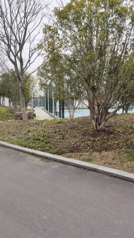 巡司河体育公园
