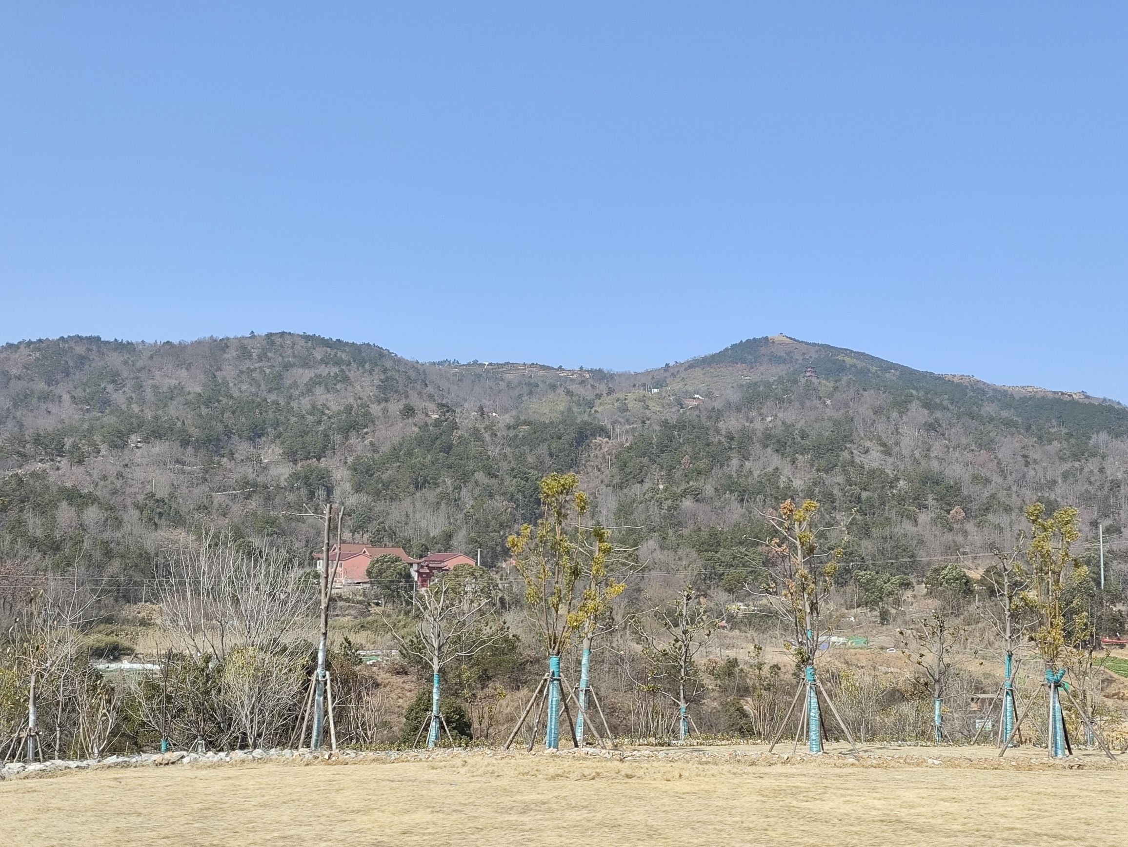 投子山城市休闲公园