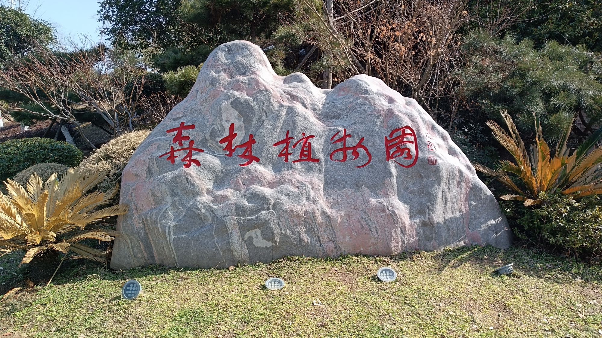 羊山森林植物园