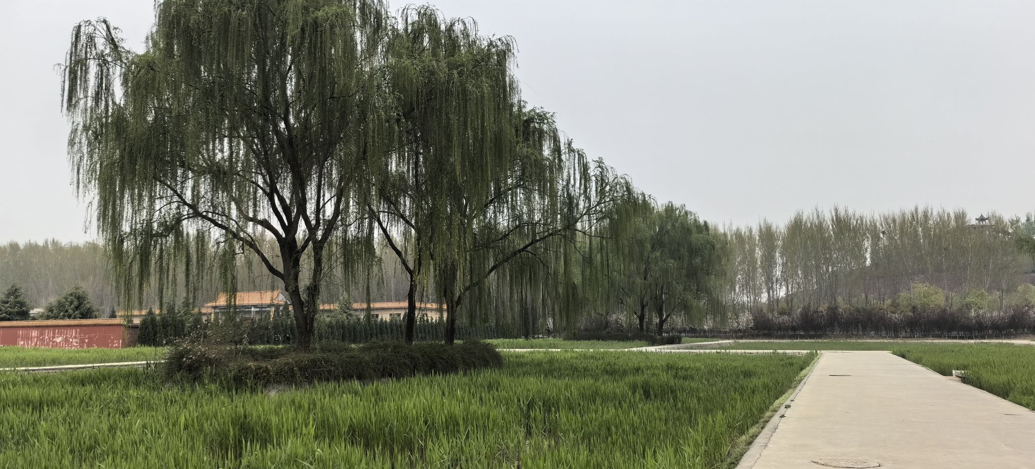 翠屏湿地公园