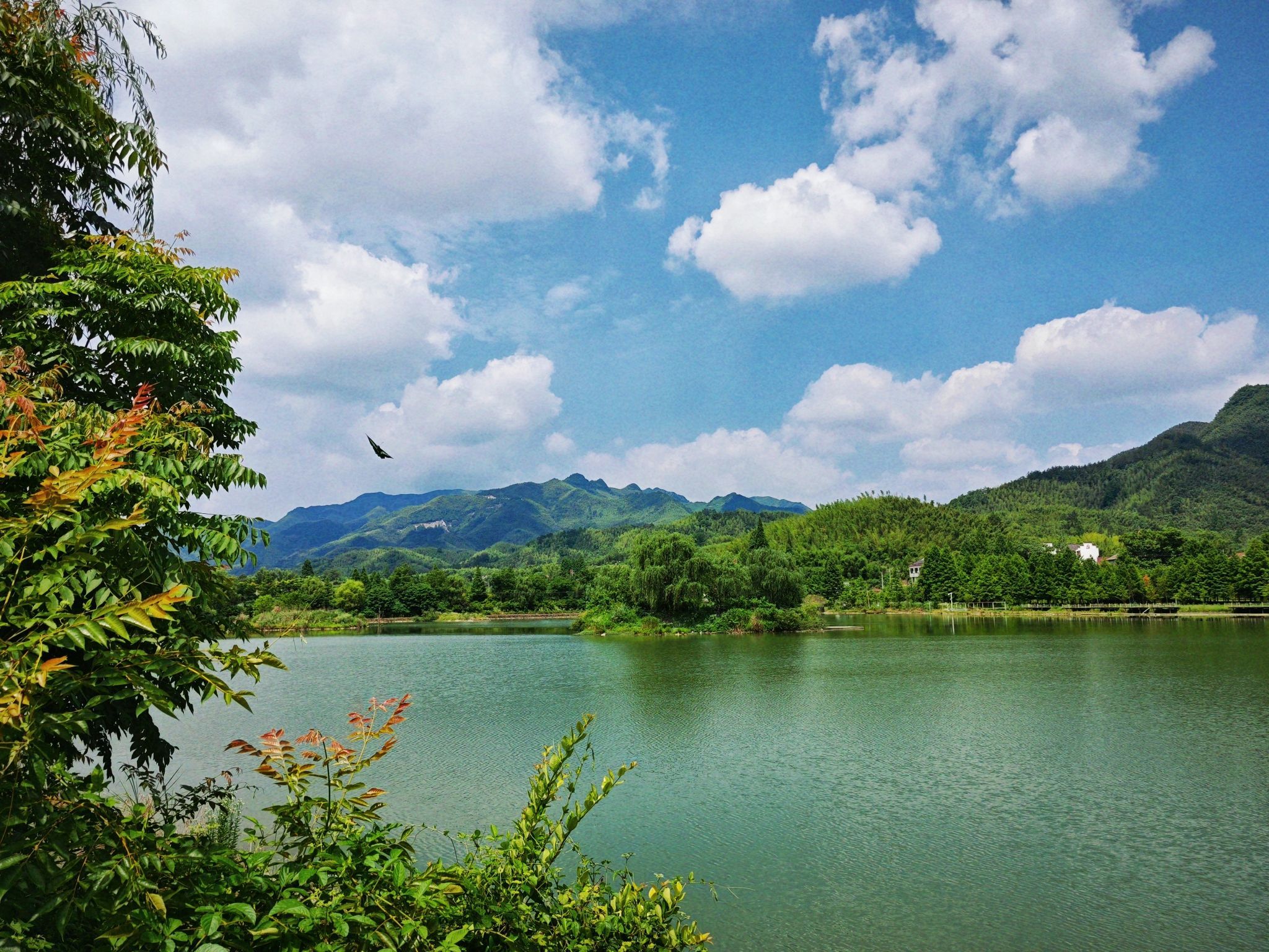 安吉湿地