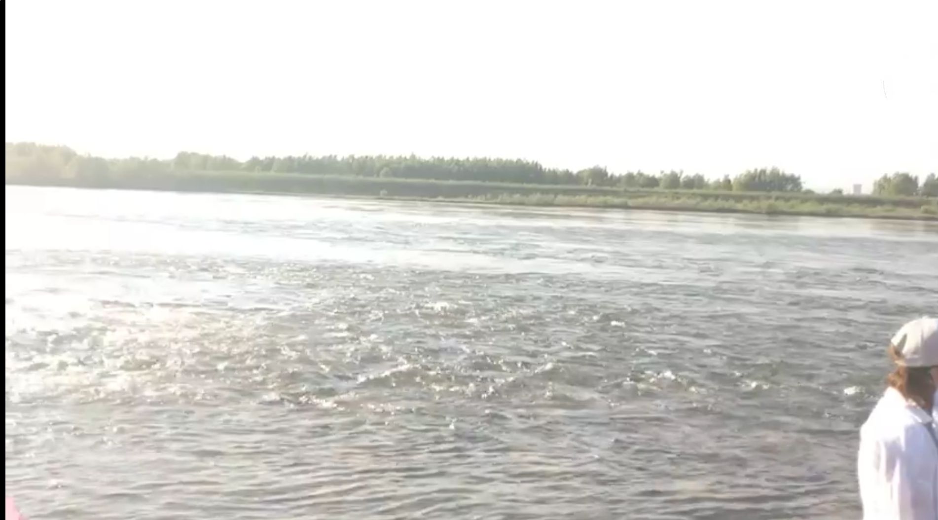 孟津黄河湿地台荫恢复区旅行图片