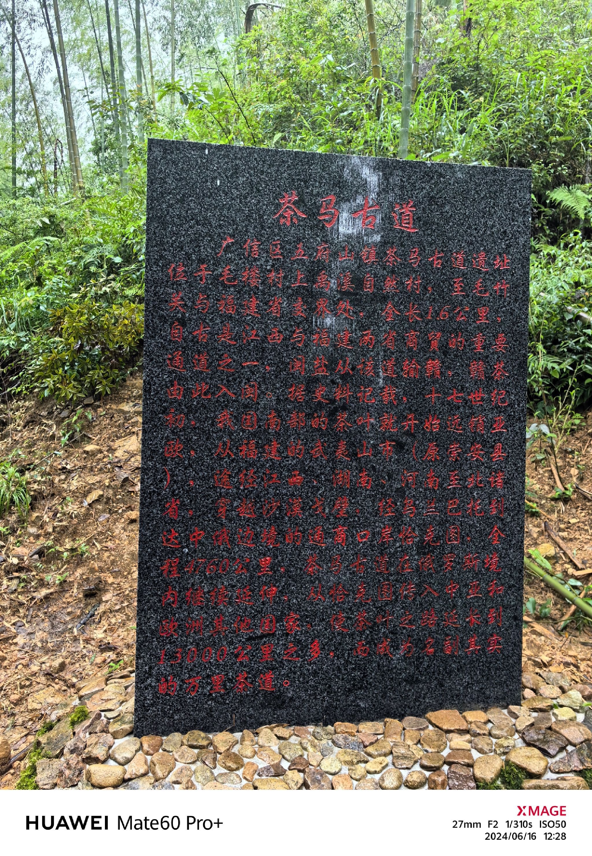 毛竹关国家森林步道