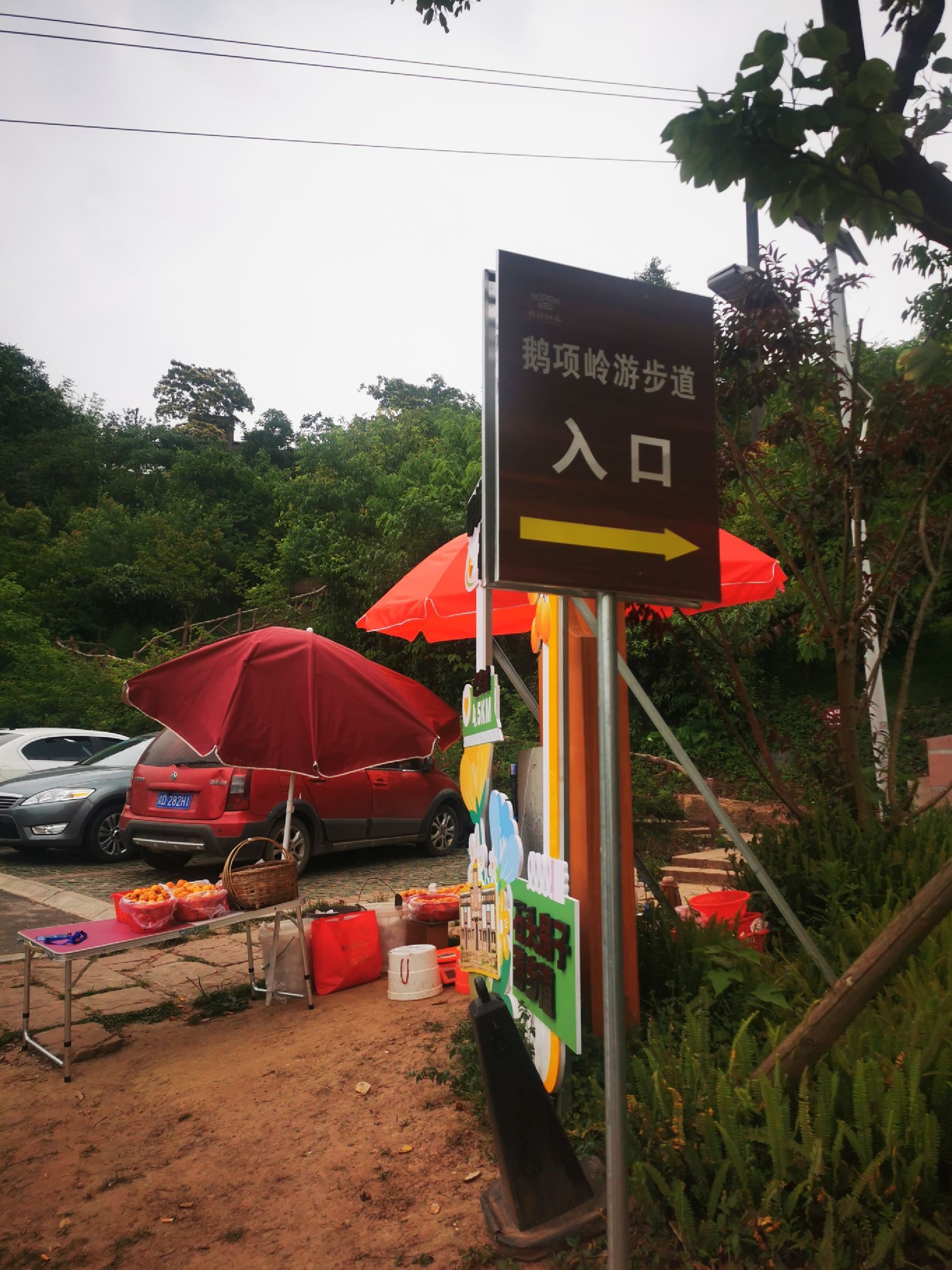 鹅项岭