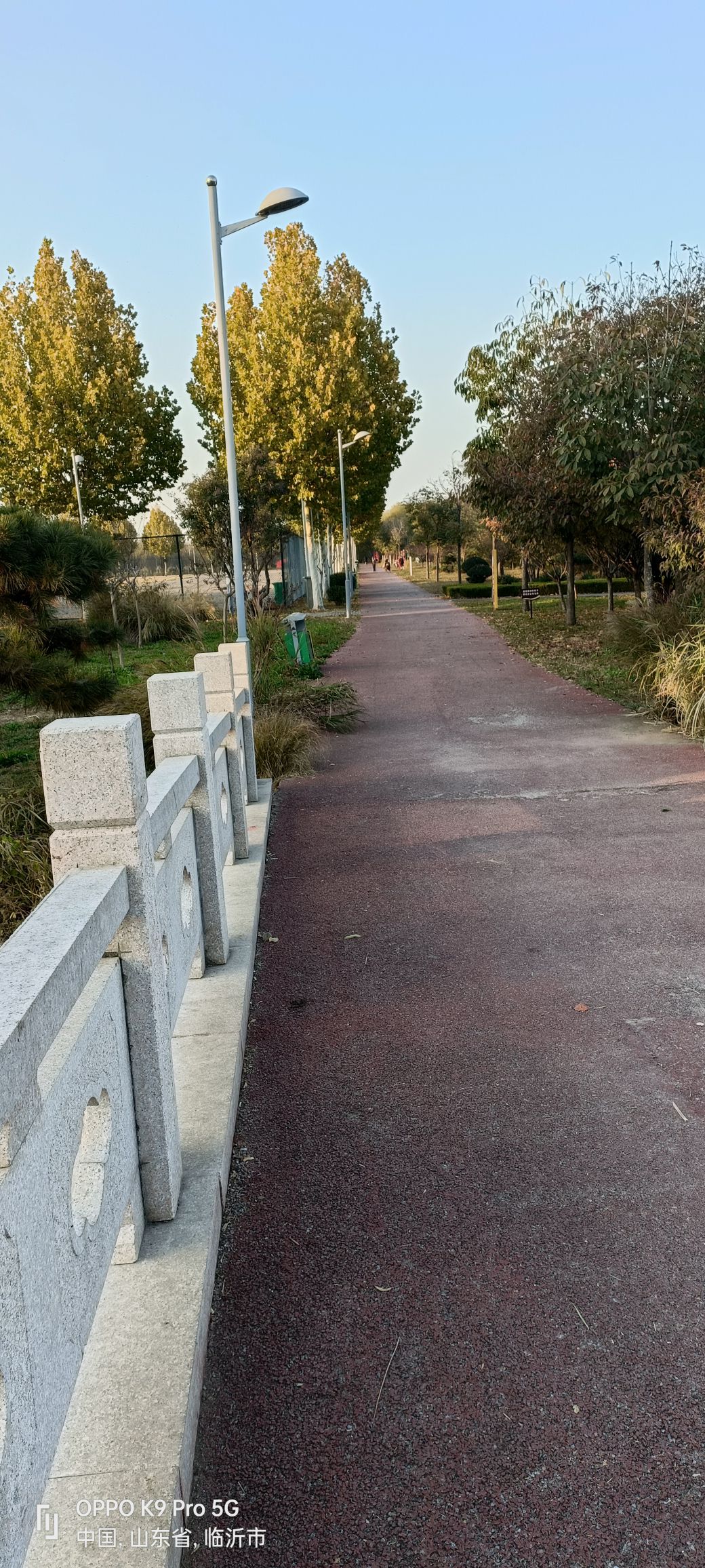 沂河湿地公园