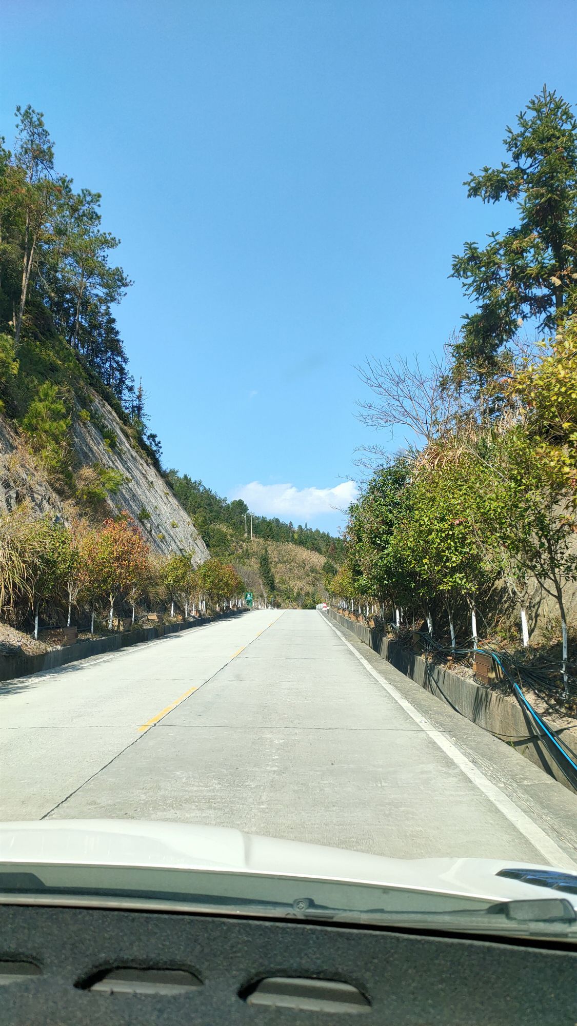大仙峰·茶美人景区
