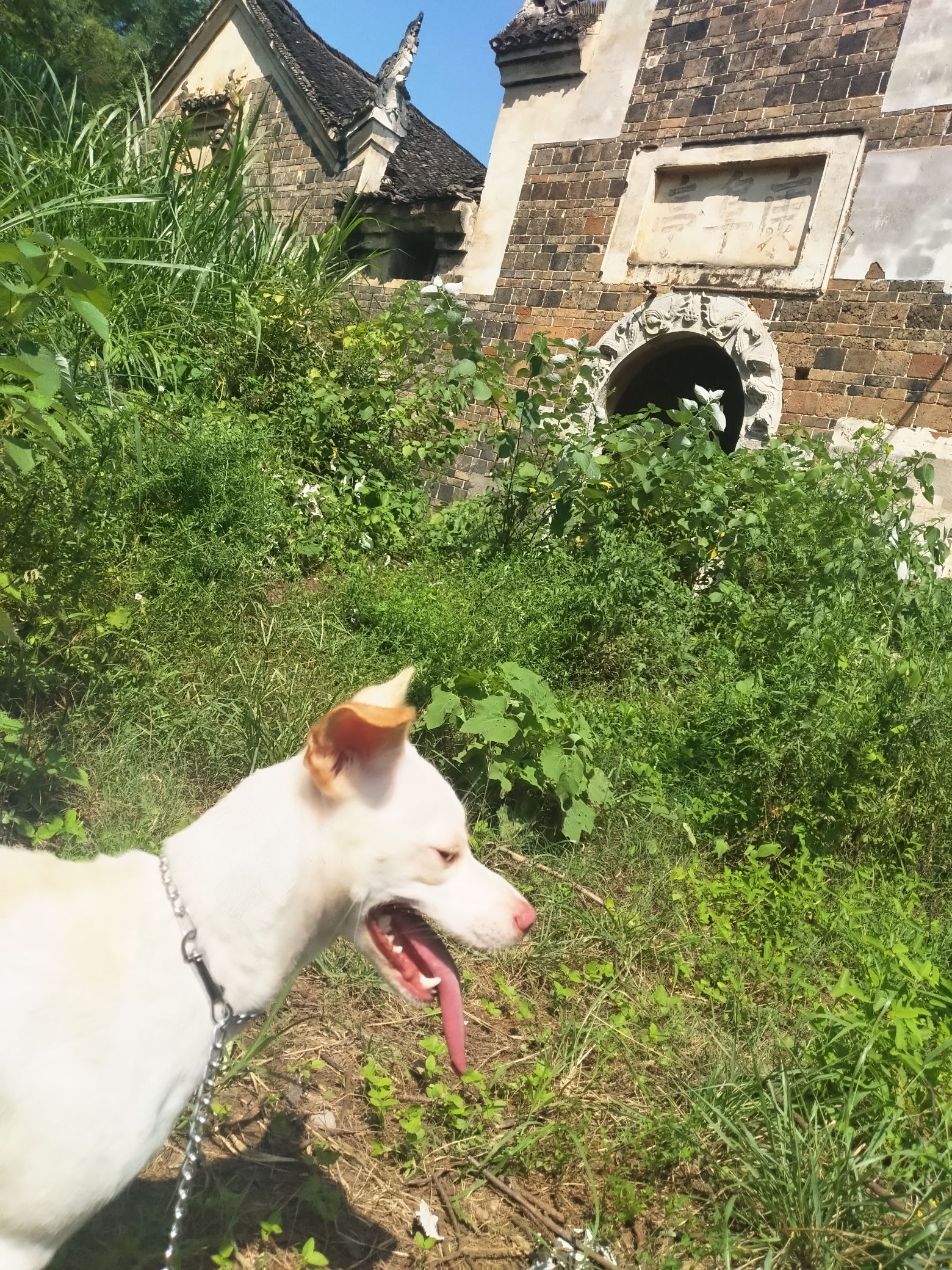 康阜亭