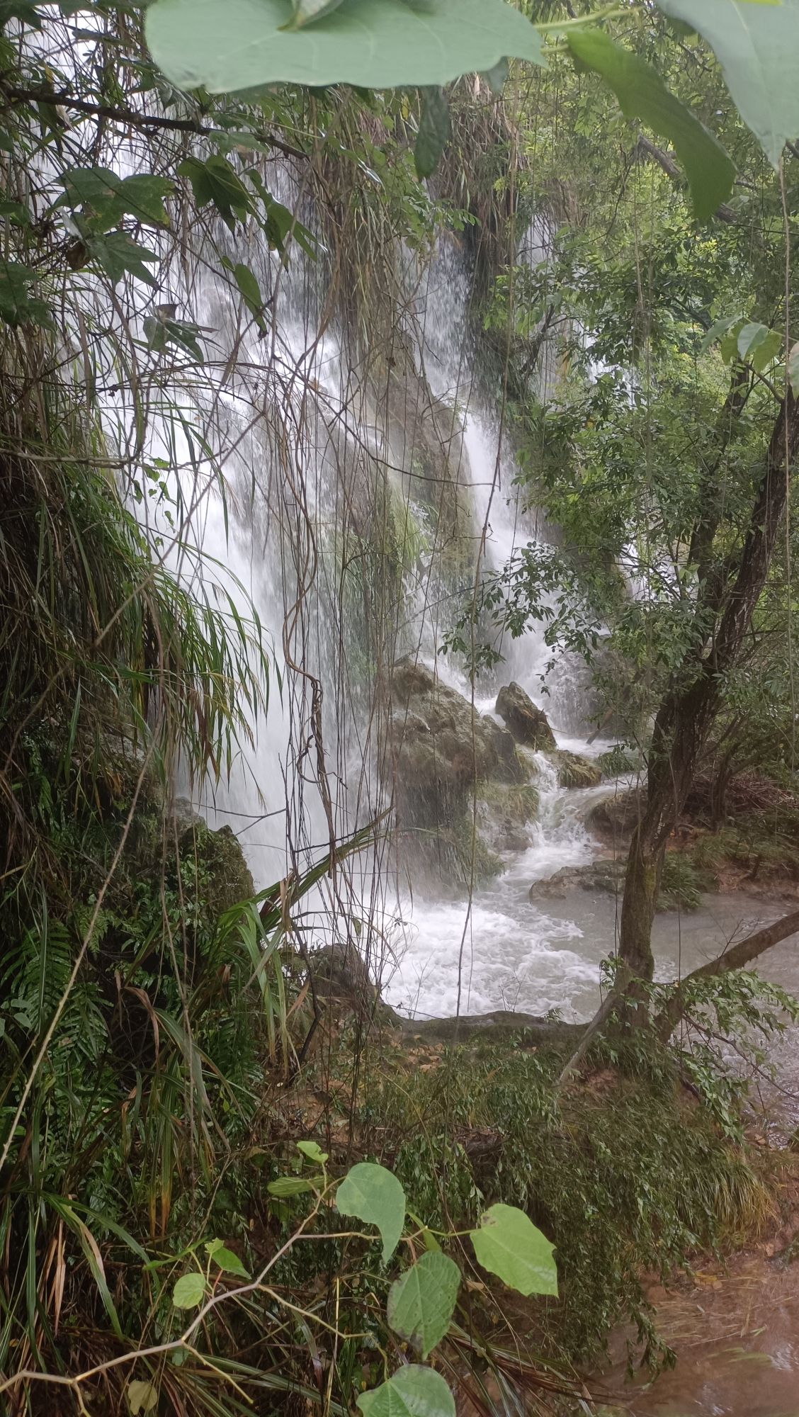 白水岩旅游景点旅行图片