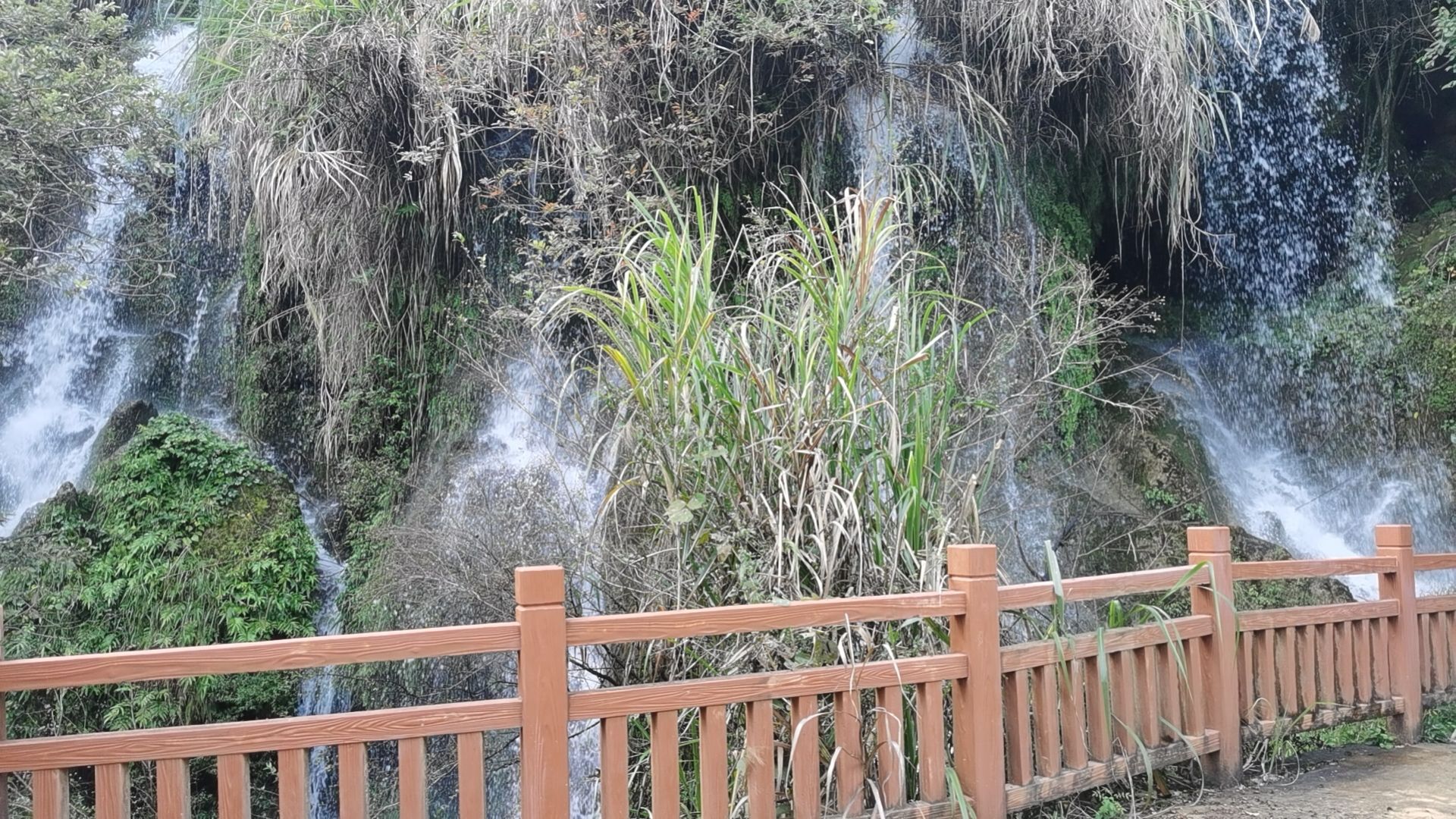 白水岩旅游景点旅行图片