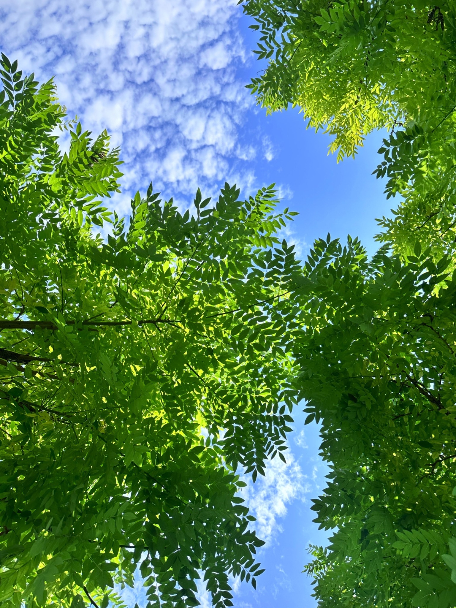 宜宾滨江公园3期