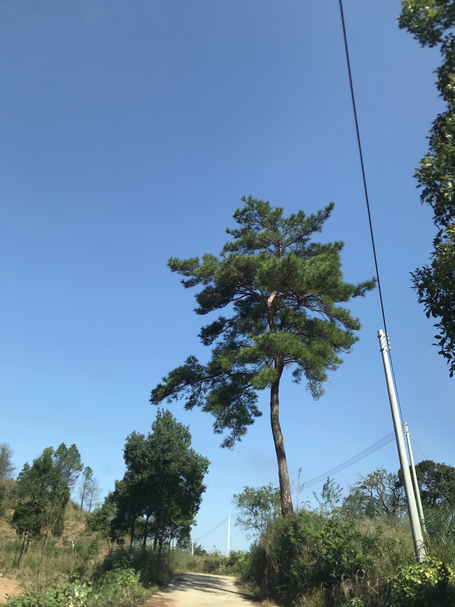 蛙婆岭旅游风景区旅行图片